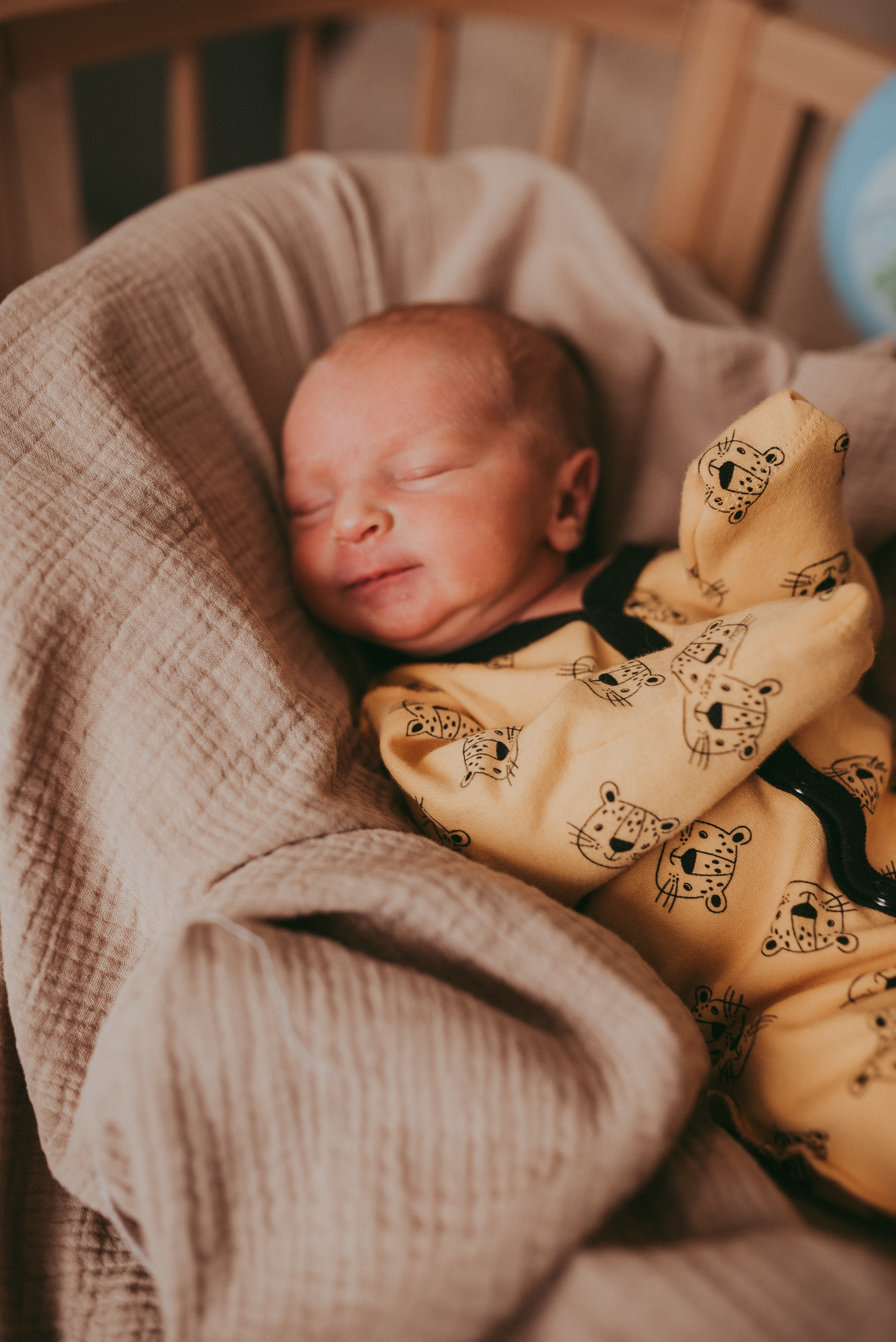 Маленький космос. Семейный и детский фотограф в Новосибирске и Краснообске — Анна Ким