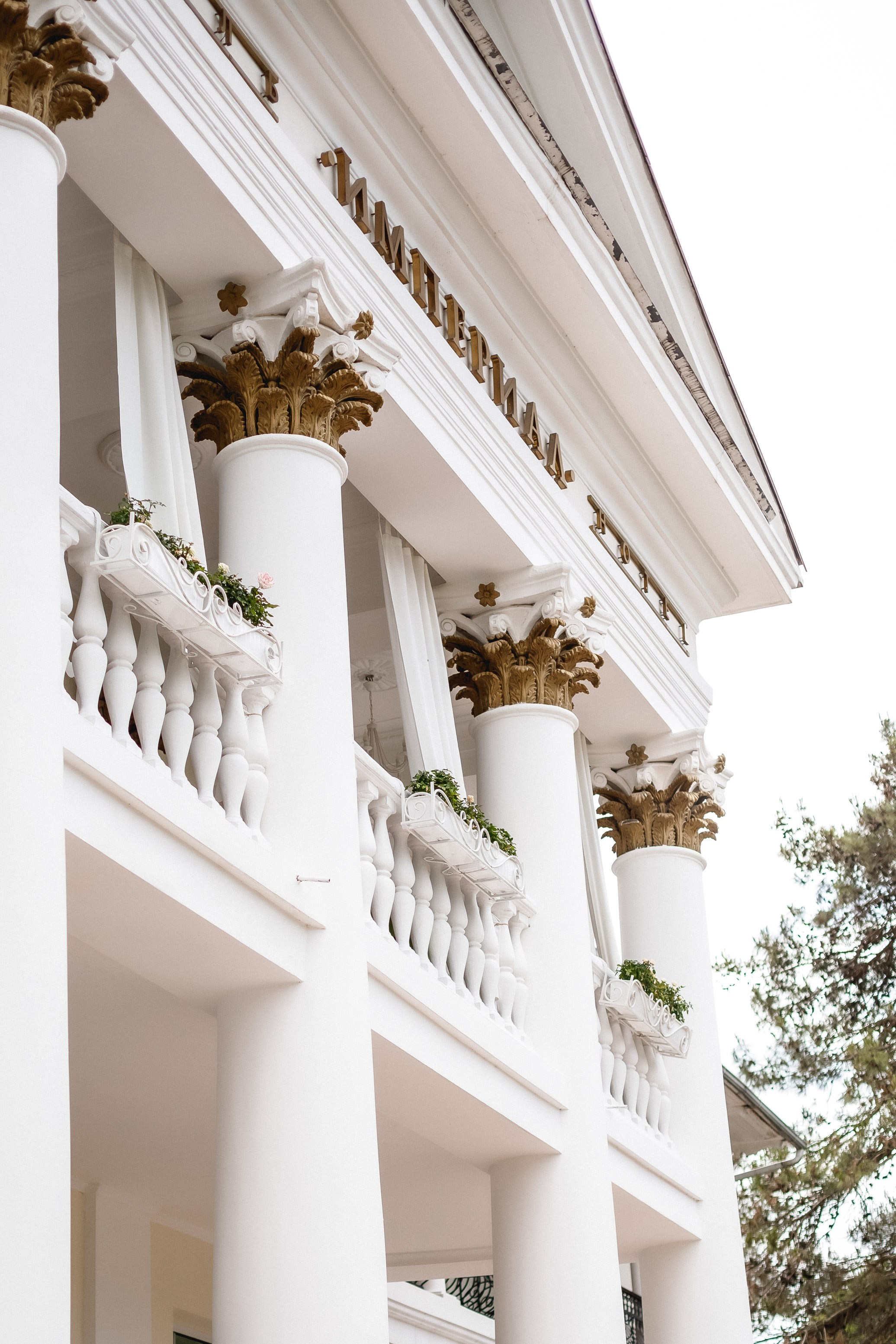 Константин и Анна. Абрау-Дюрсо. Фотограф в Москве Базанова Дарья