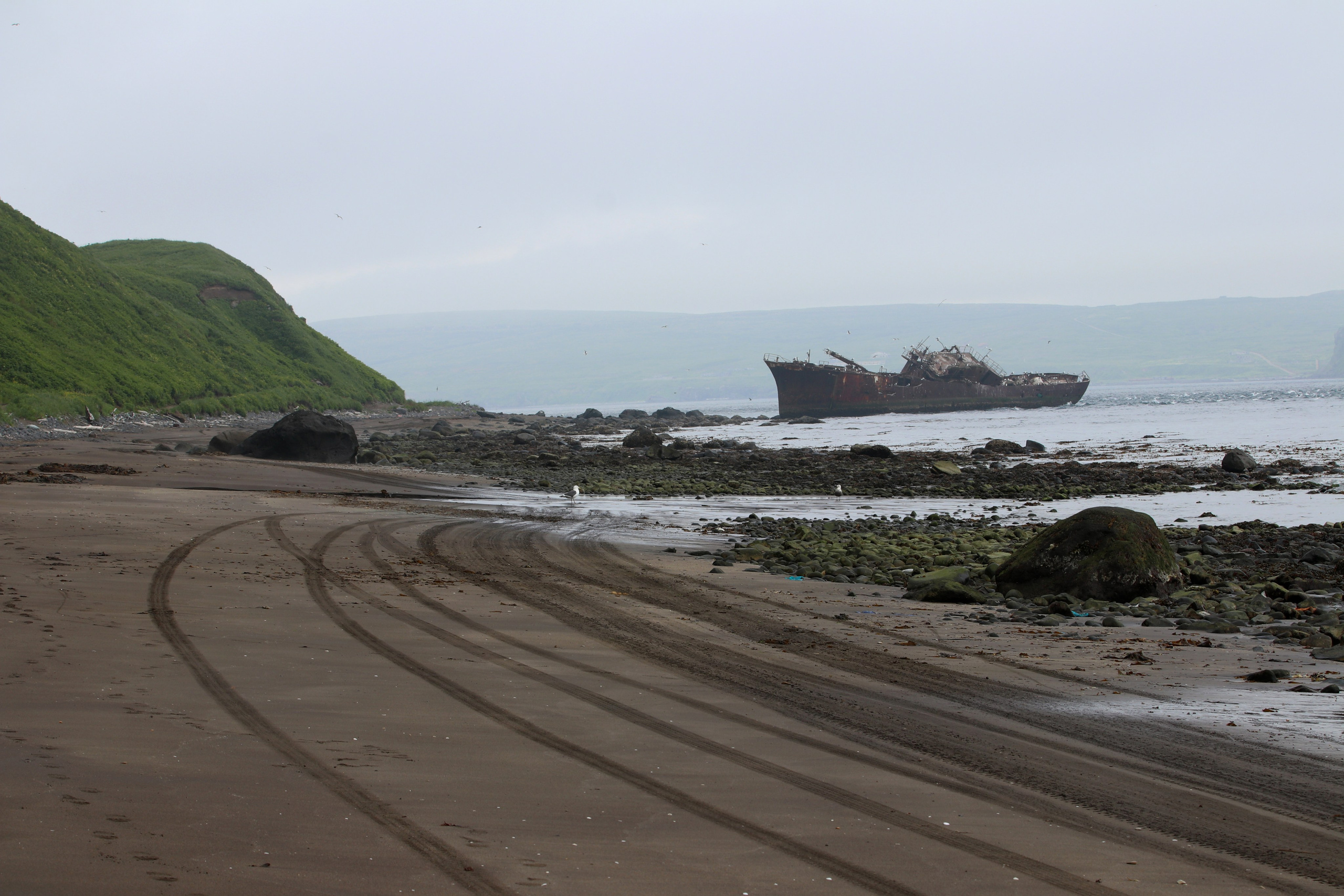 Камчатка и о. Парамушир. Июль 2024. Путешественник-фотограф из Санкт-Петербурга Татьяна Свистулина