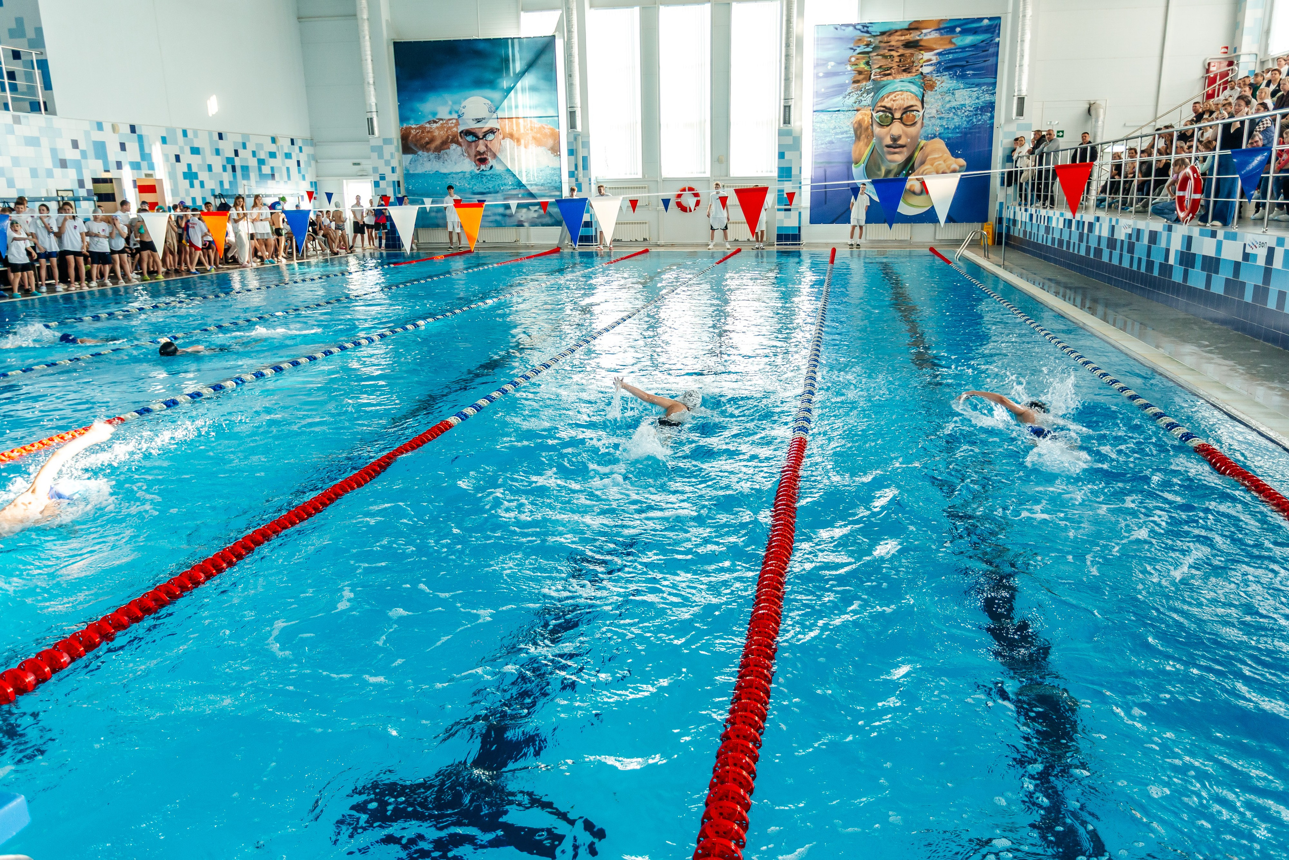 Школа плавания «Виктория». Свадебный фотограф в Краснодаре Николай Крауз