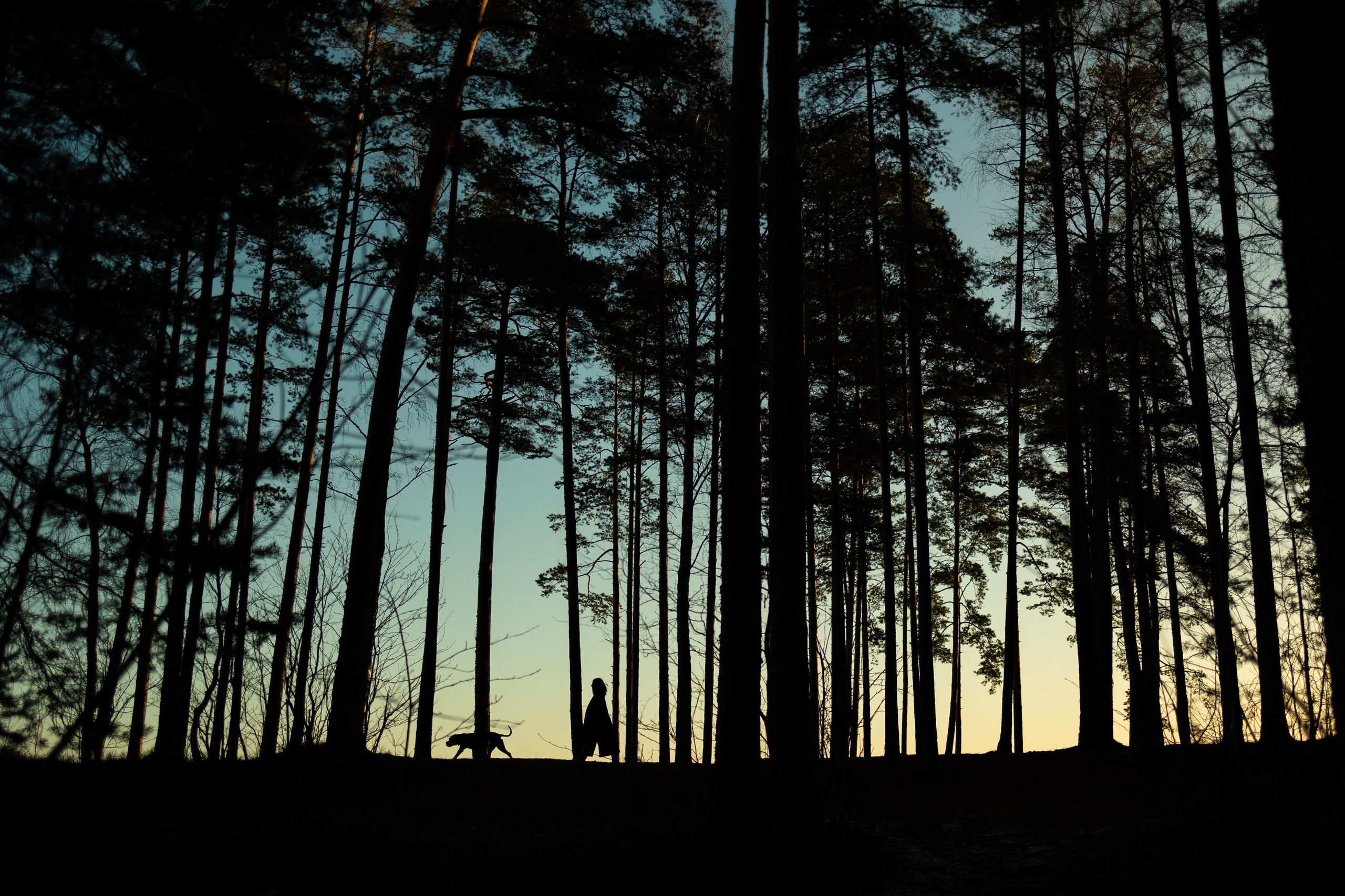 Анна и Лана. Фотограф — Анималист | Санкт-Петербург