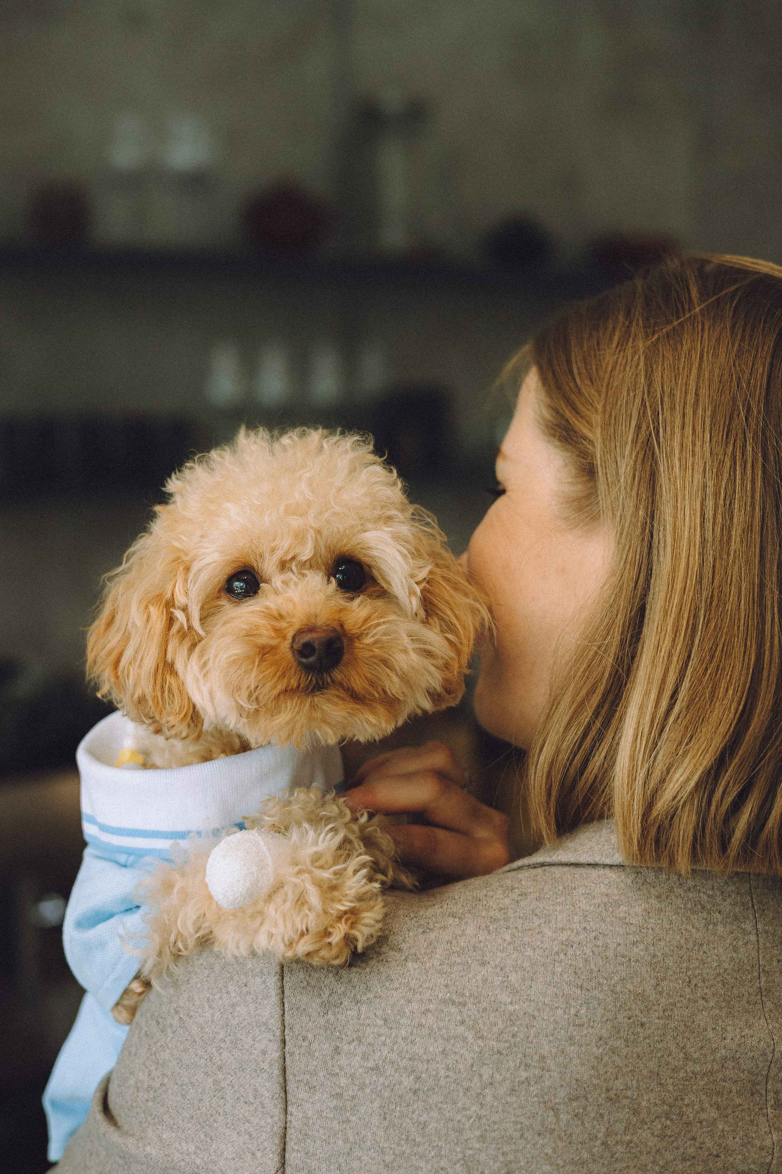 День Рождения пуделя Глаши