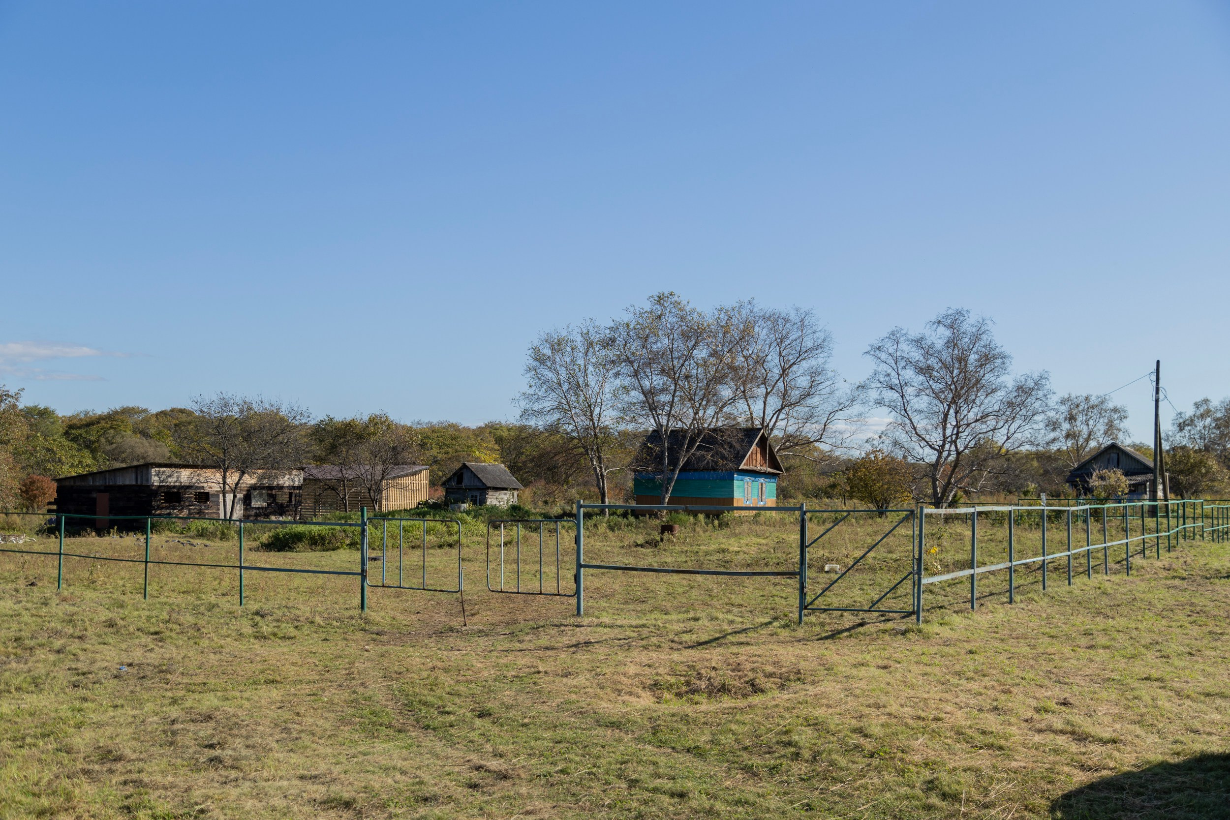 Фестиваль «Большой пикник», репортаж для ASAP Speedcubing. Репортажный и портретный фотограф в Владивостоке