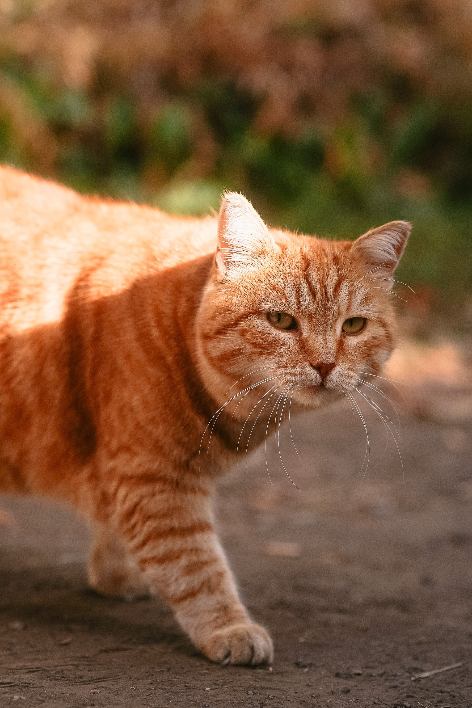 Съёмочный бэкстейдж. ИТВИ