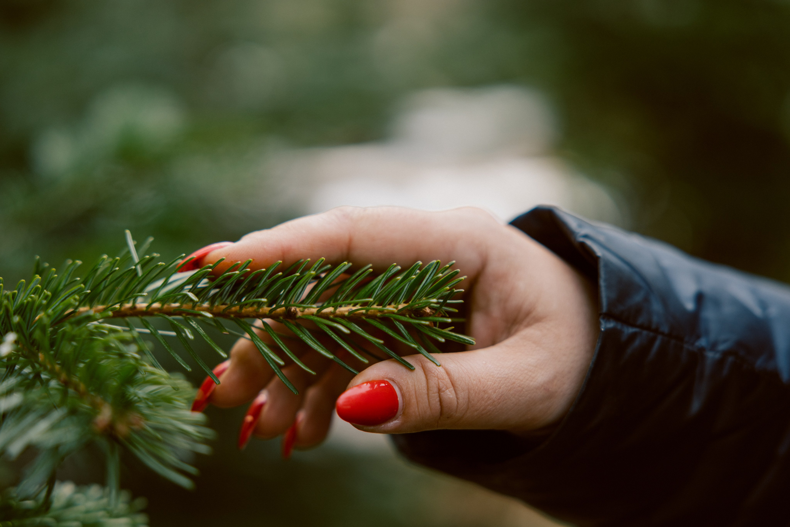 Тур, Архыз. Фотограф Эдуарда Титанян