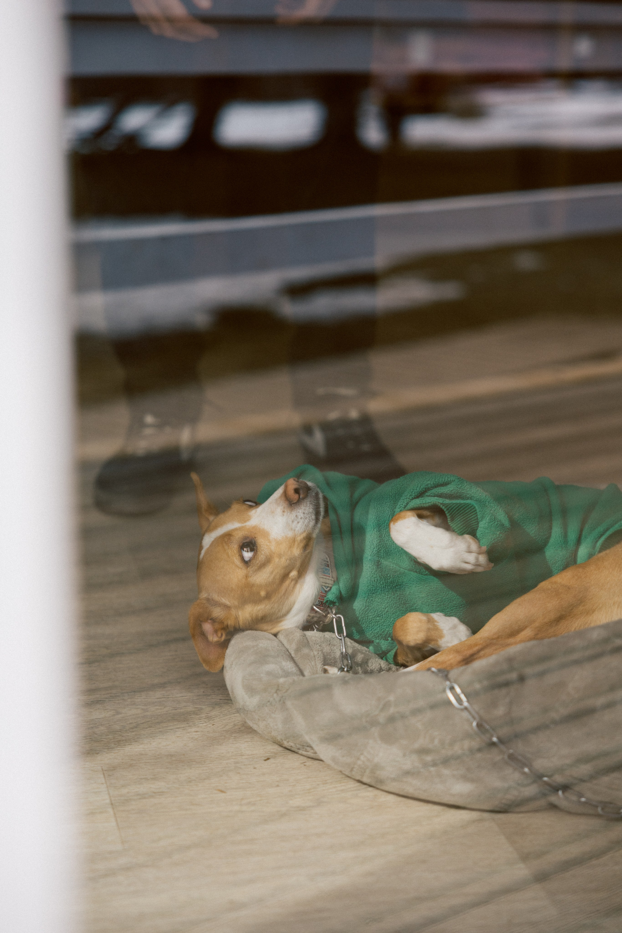 Тур, Архыз. Фотограф Эдуарда Титанян