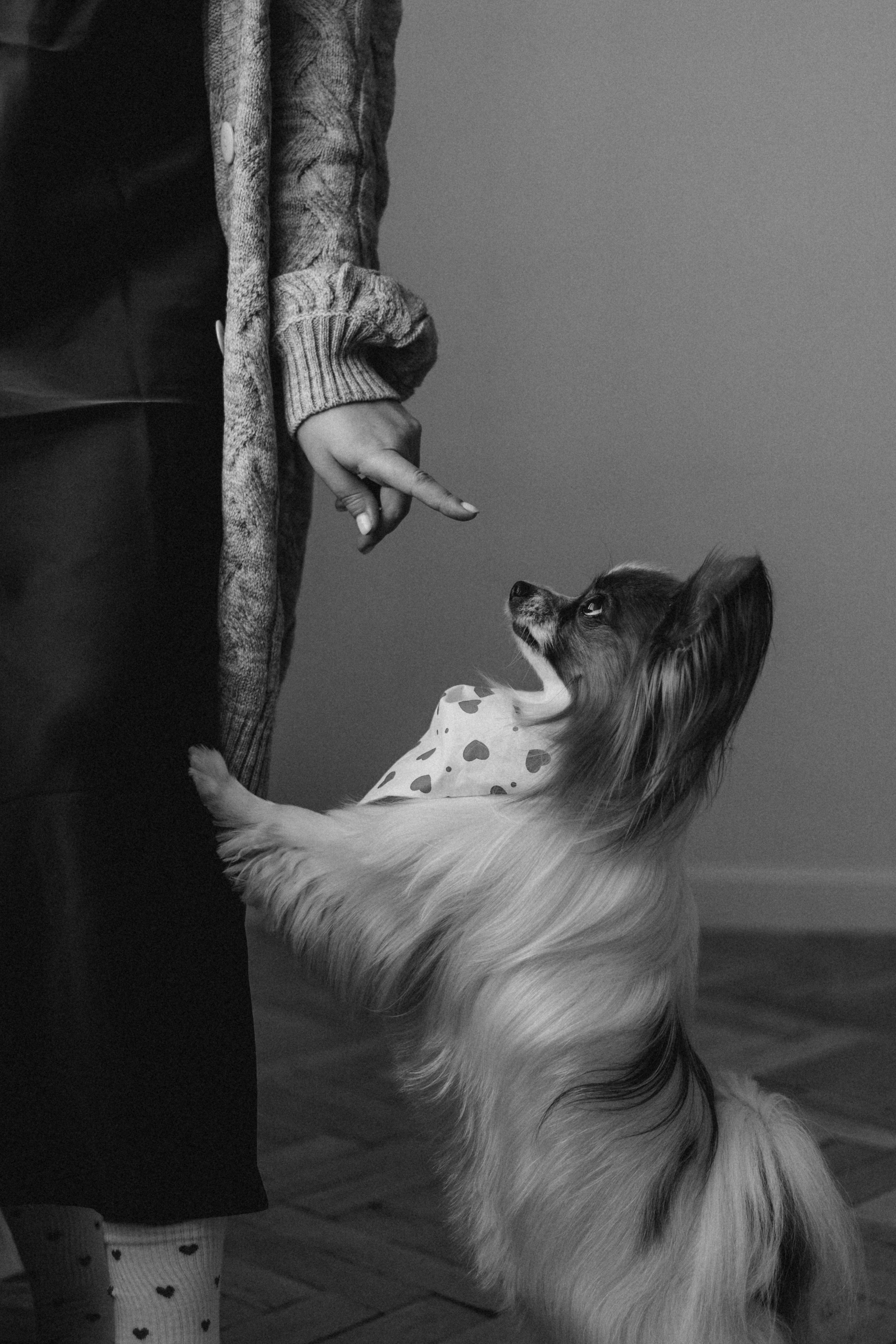 Женя и Брю. Фотограф — Анималист | Санкт-Петербург