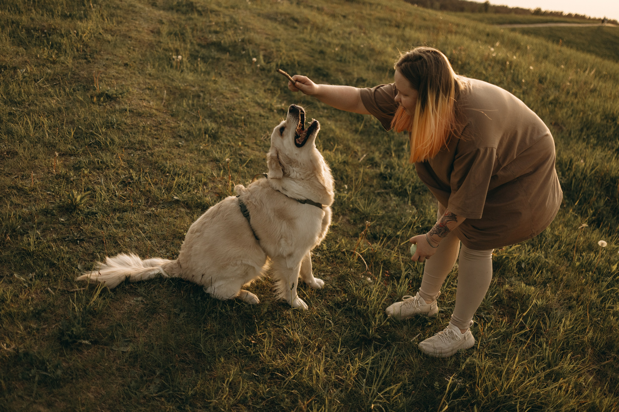 Милка и ребята. Фотограф — Анималист | Санкт-Петербург