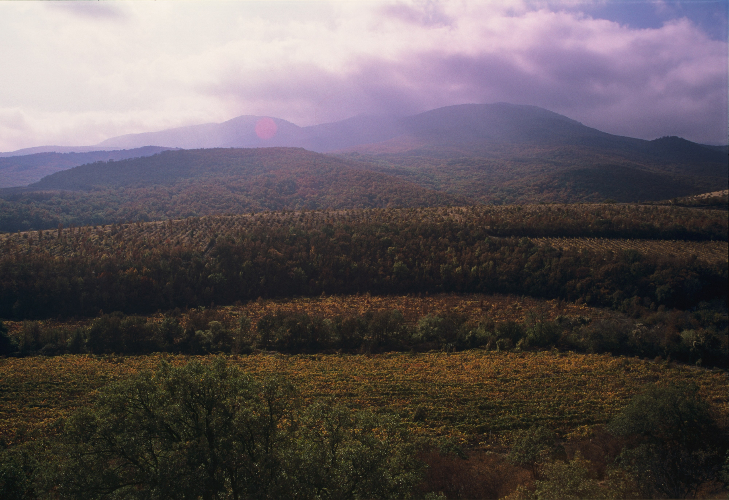 Горы и море. Фотограф в Санкт-Петербурге Березовский Даниил