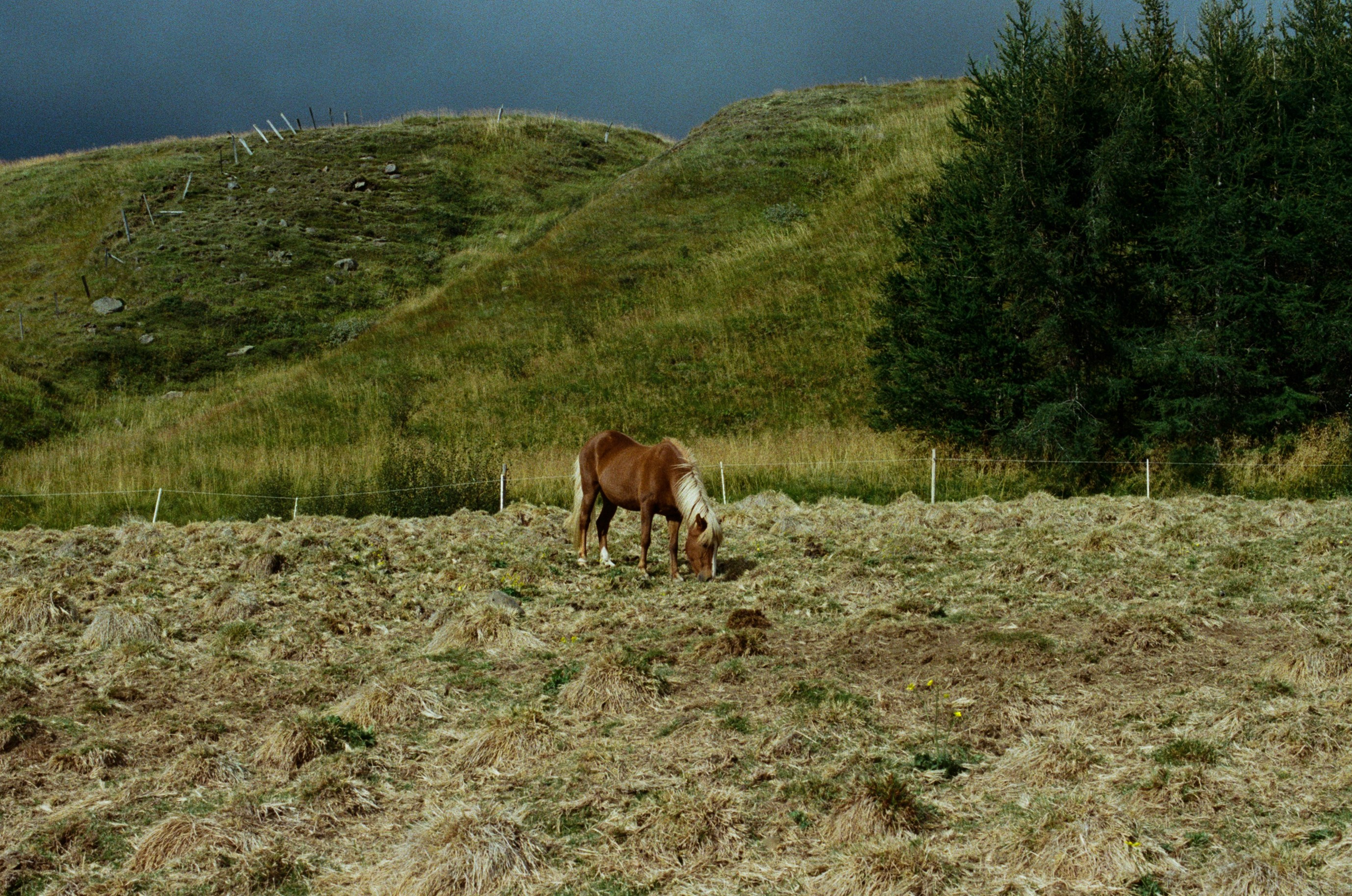 Visitor // iceland, f347. EVER EXPOSED