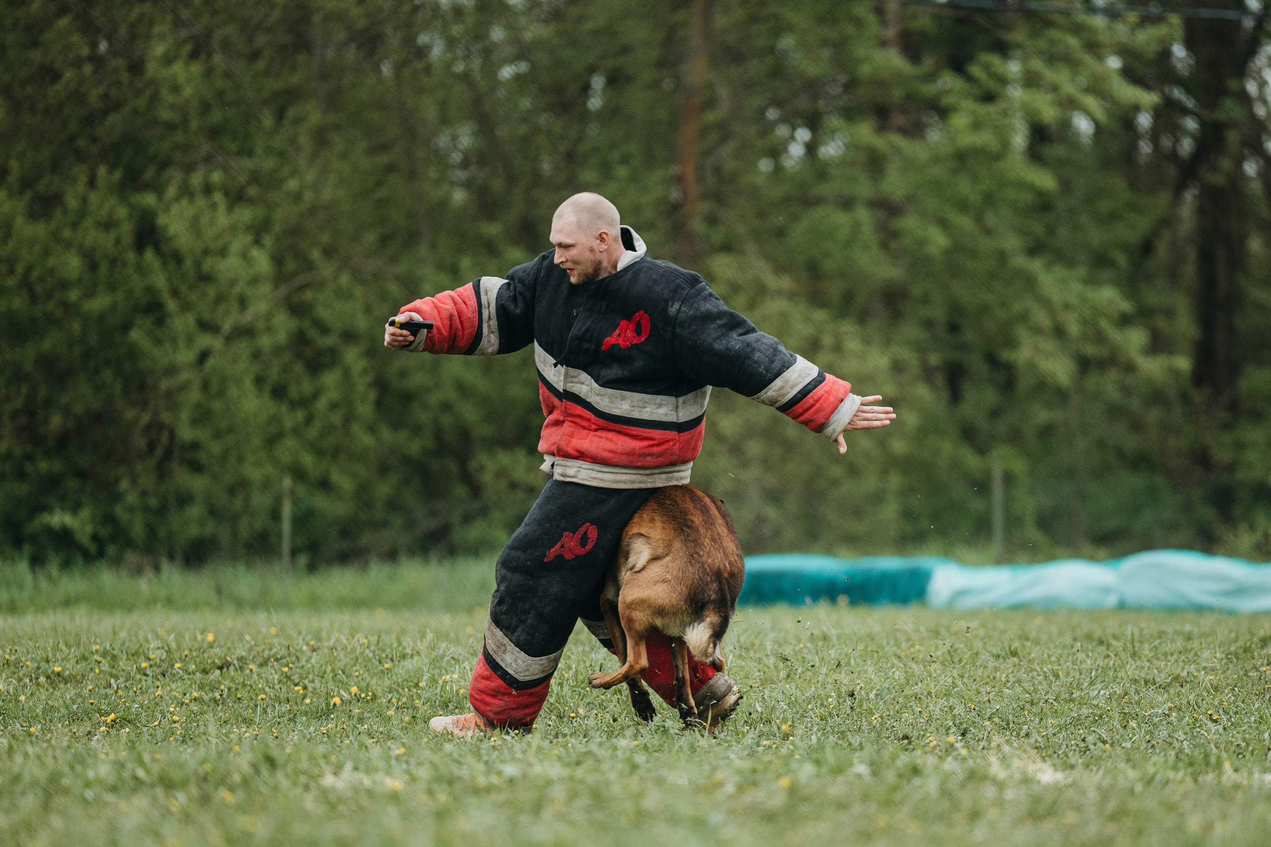 26.05.25 г. Пушкин квалификационные соревнования. Фотограф-анималист Анна Маринич