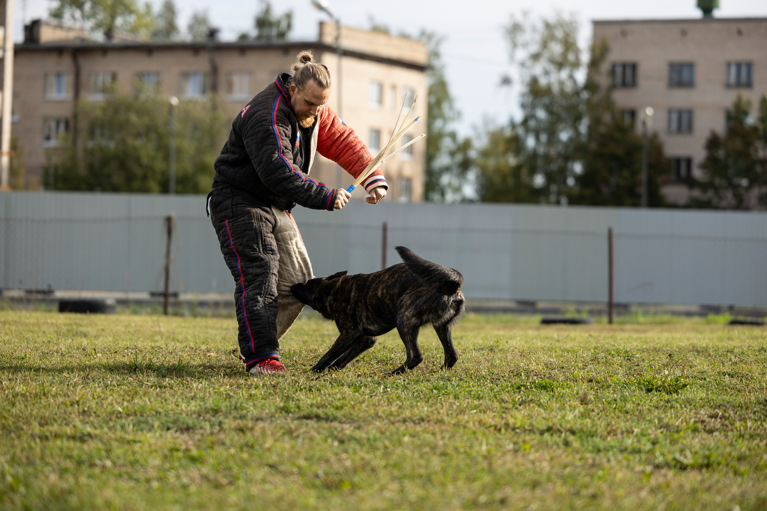 Испытания по Мондьорингу г. Пушкин. Фотограф-анималист Анна Маринич