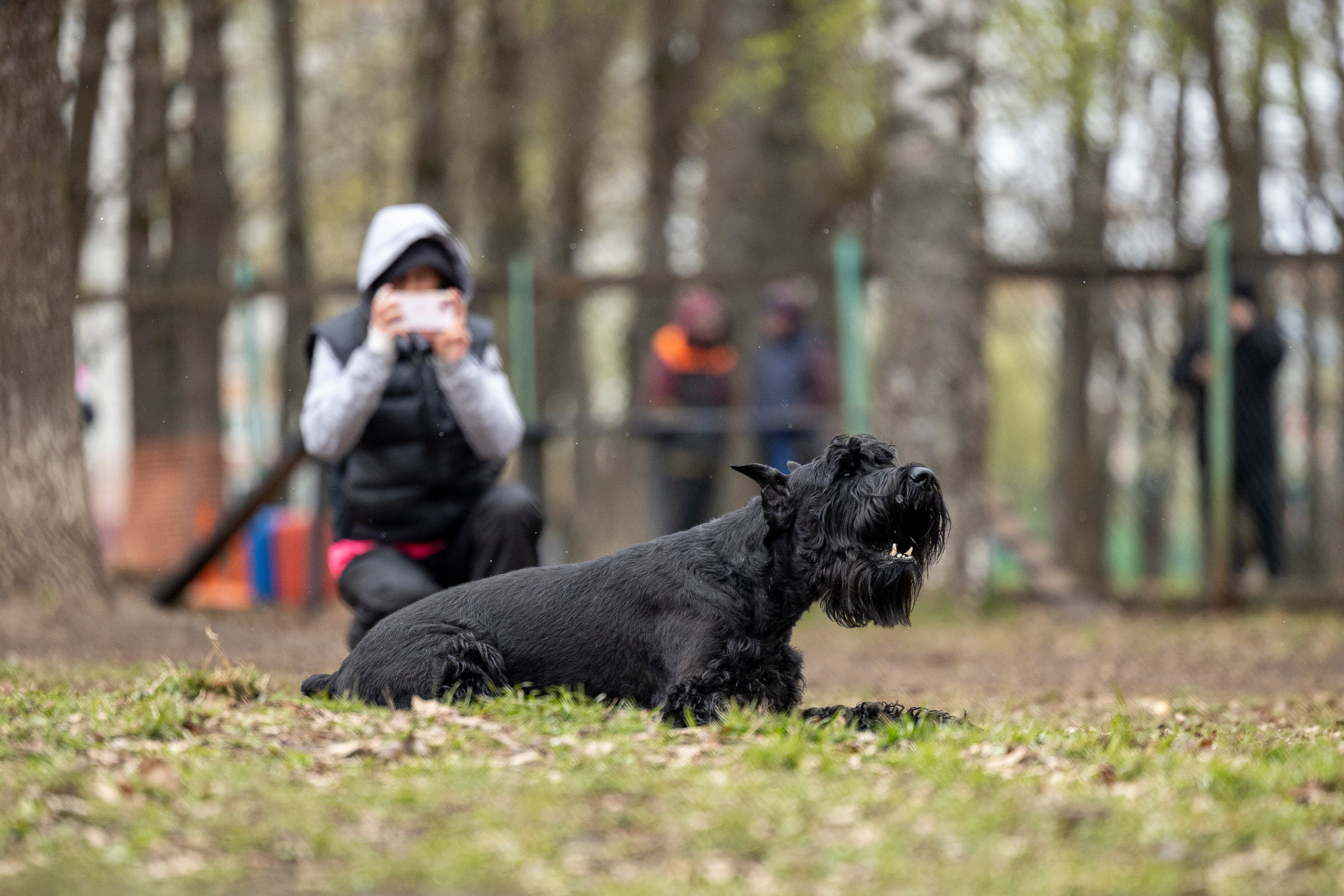 Квалификационные состязания по мондьорингу г. Вологда 11.05.24. Фотограф-анималист Анна Маринич