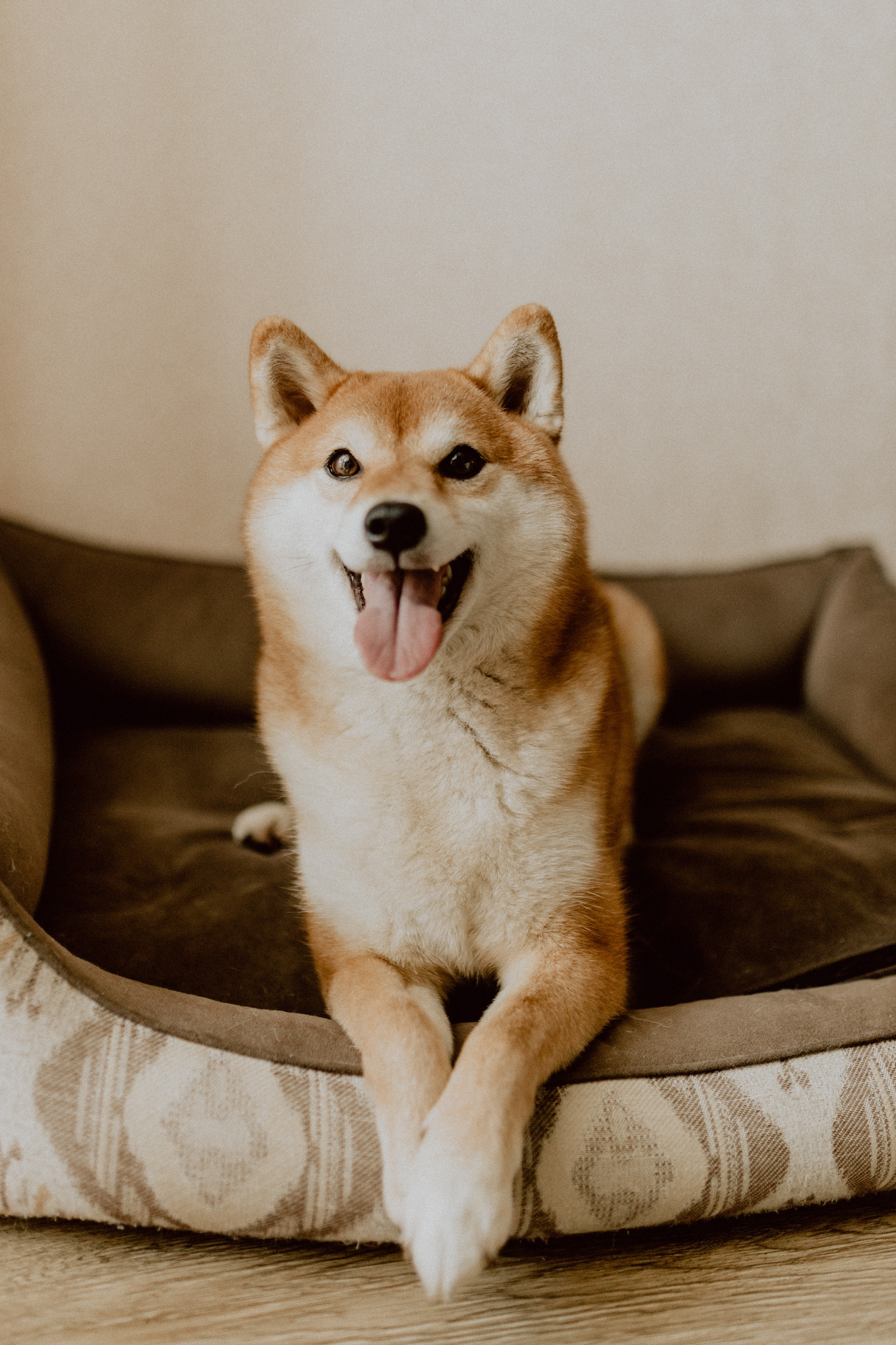 Нина с семьей. Семейный, детский фотограф, видеограф. Город Владивосток Рубцова Юлия