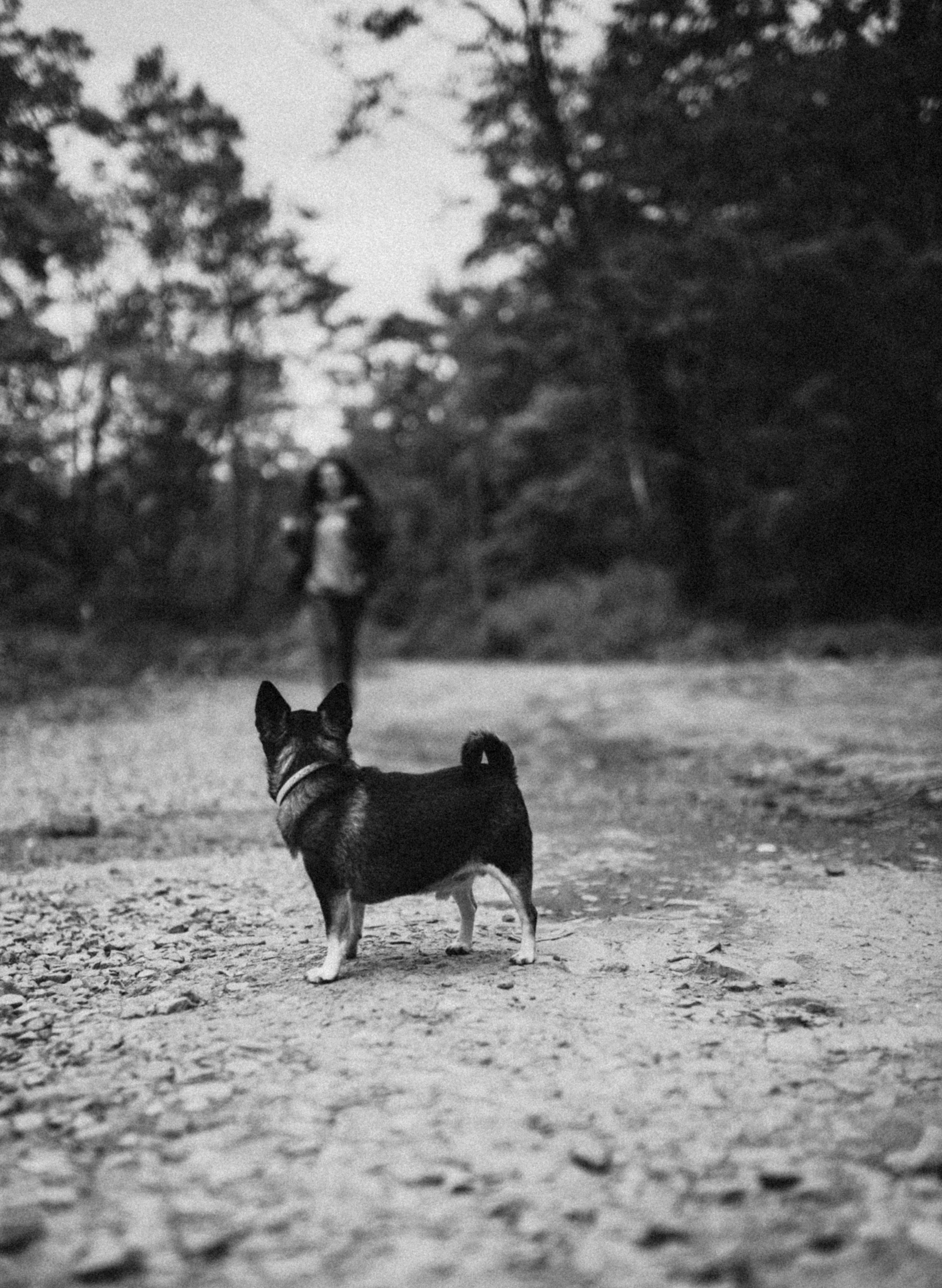 Саша. Семейный, детский фотограф, видеограф. Город Владивосток Рубцова Юлия