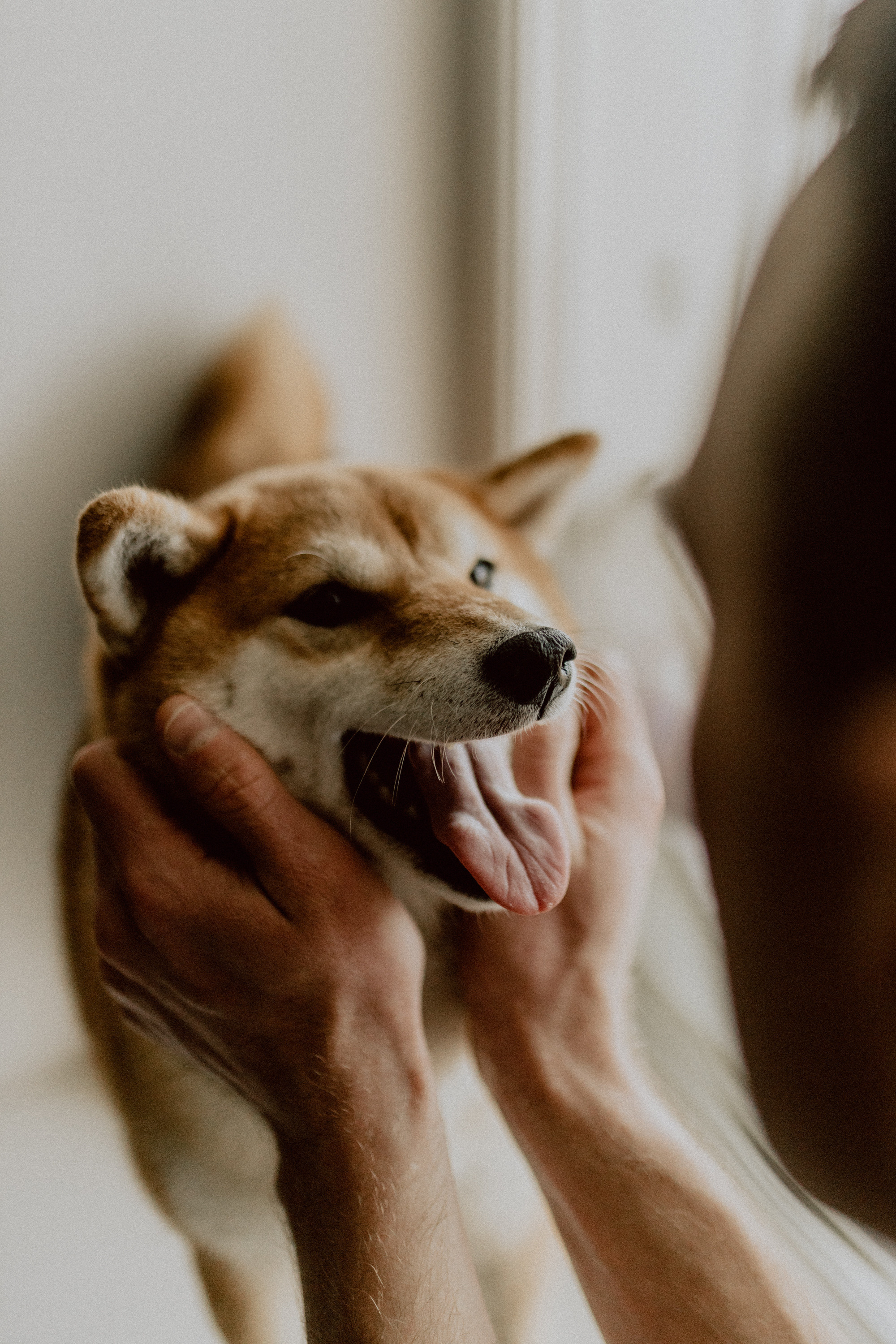 Нина с семьей. Семейный, детский фотограф, видеограф. Город Владивосток Рубцова Юлия