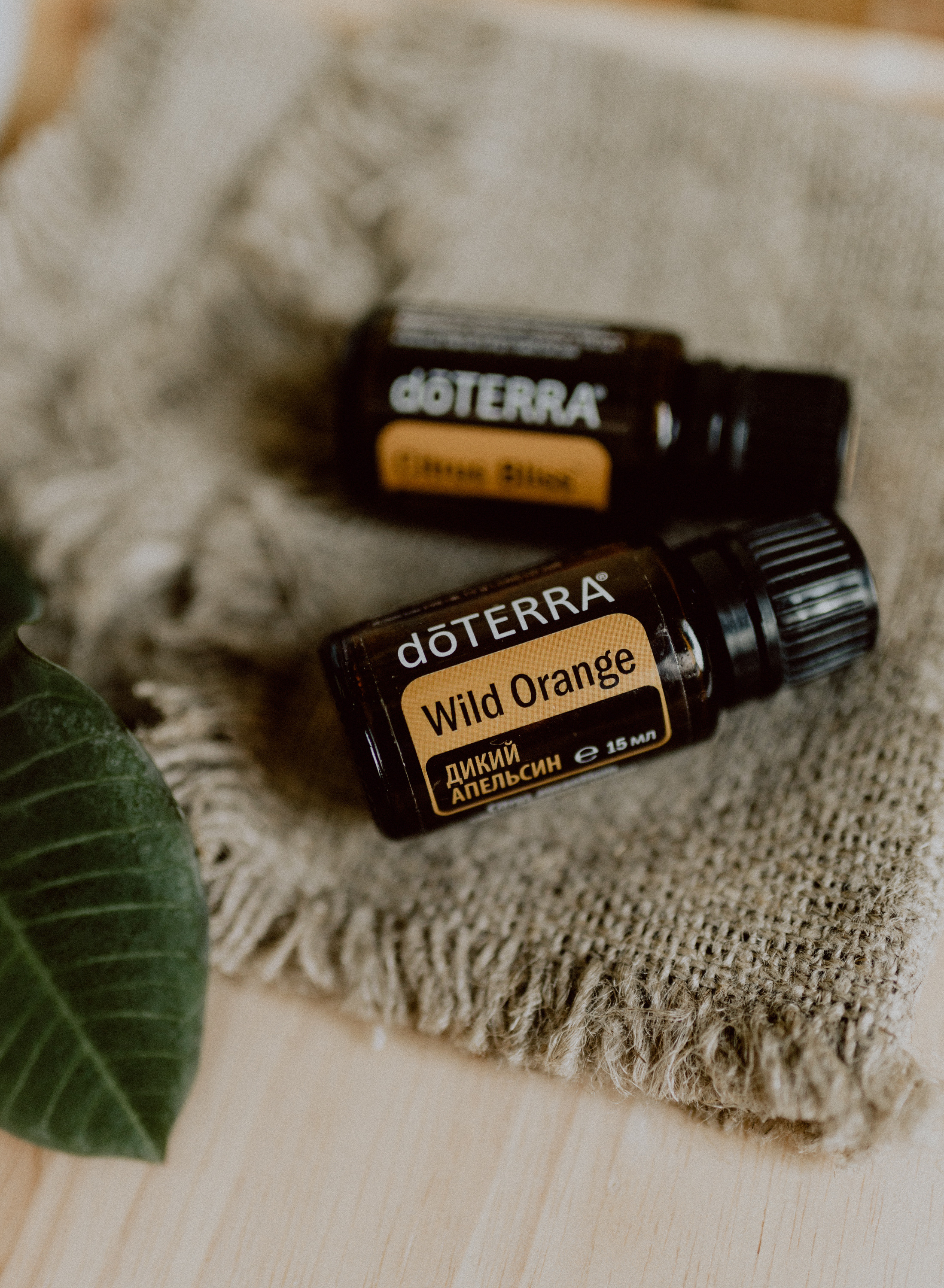 Арина, Аромаресурс. Семейный, детский фотограф, видеограф. Город Владивосток Рубцова Юлия