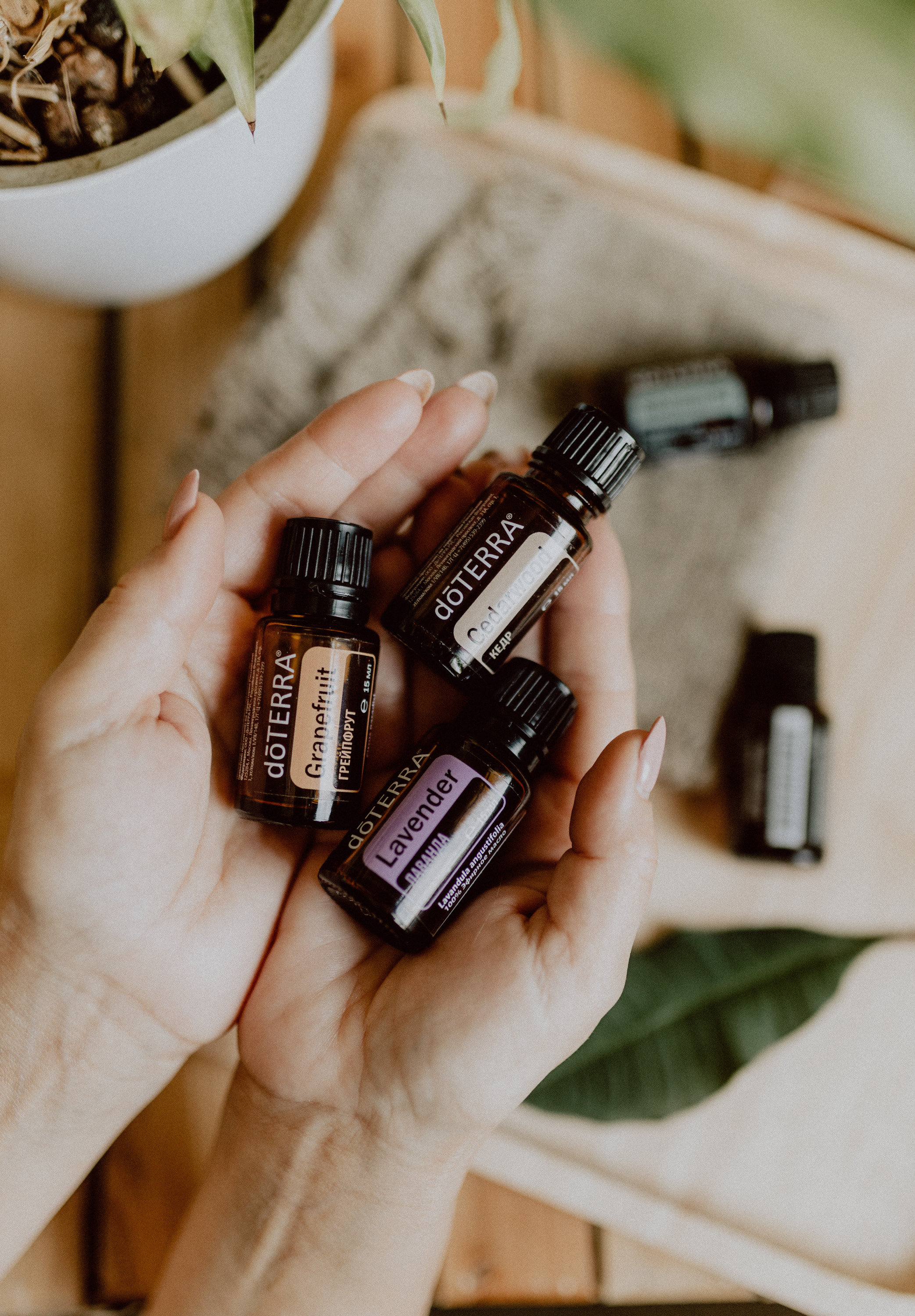 Арина, Аромаресурс. Семейный, детский фотограф, видеограф. Город Владивосток Рубцова Юлия