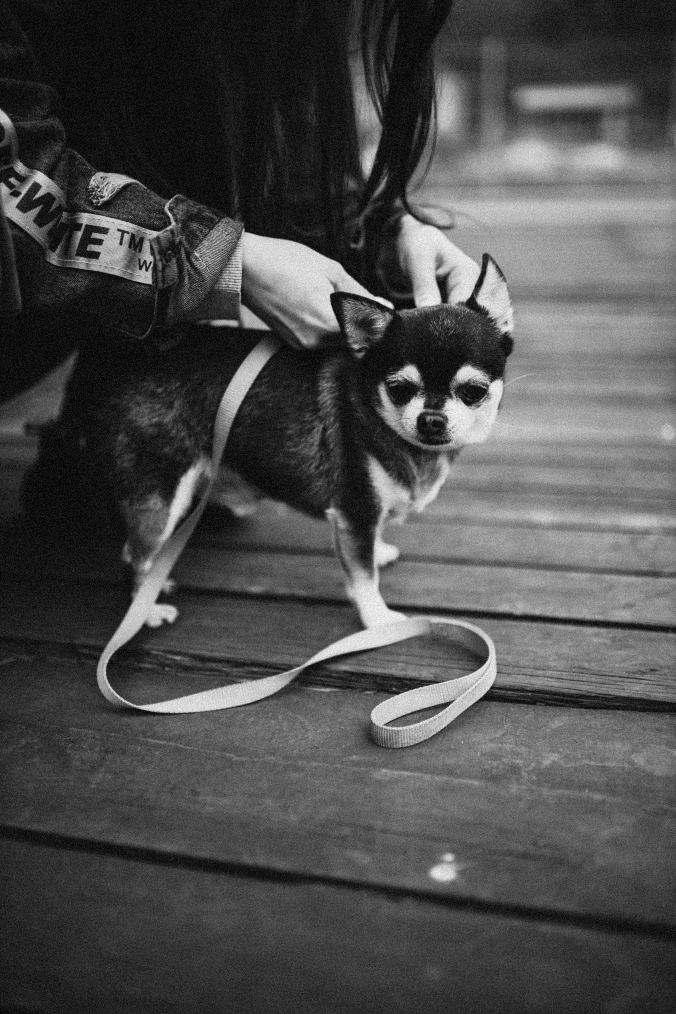 Саша. Семейный, детский фотограф, видеограф. Город Владивосток Рубцова Юлия