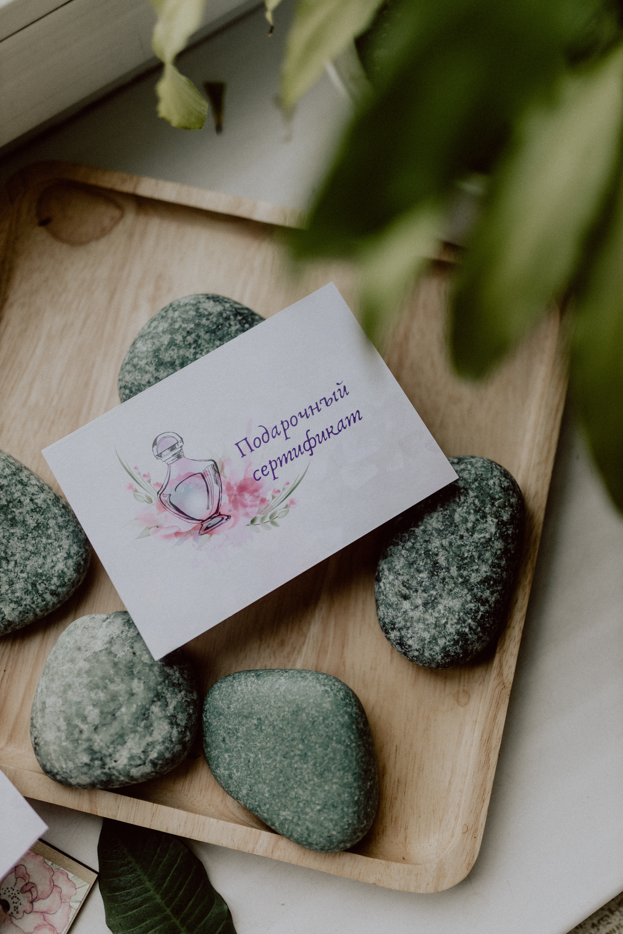 Арина, Аромаресурс. Семейный, детский фотограф, видеограф. Город Владивосток Рубцова Юлия