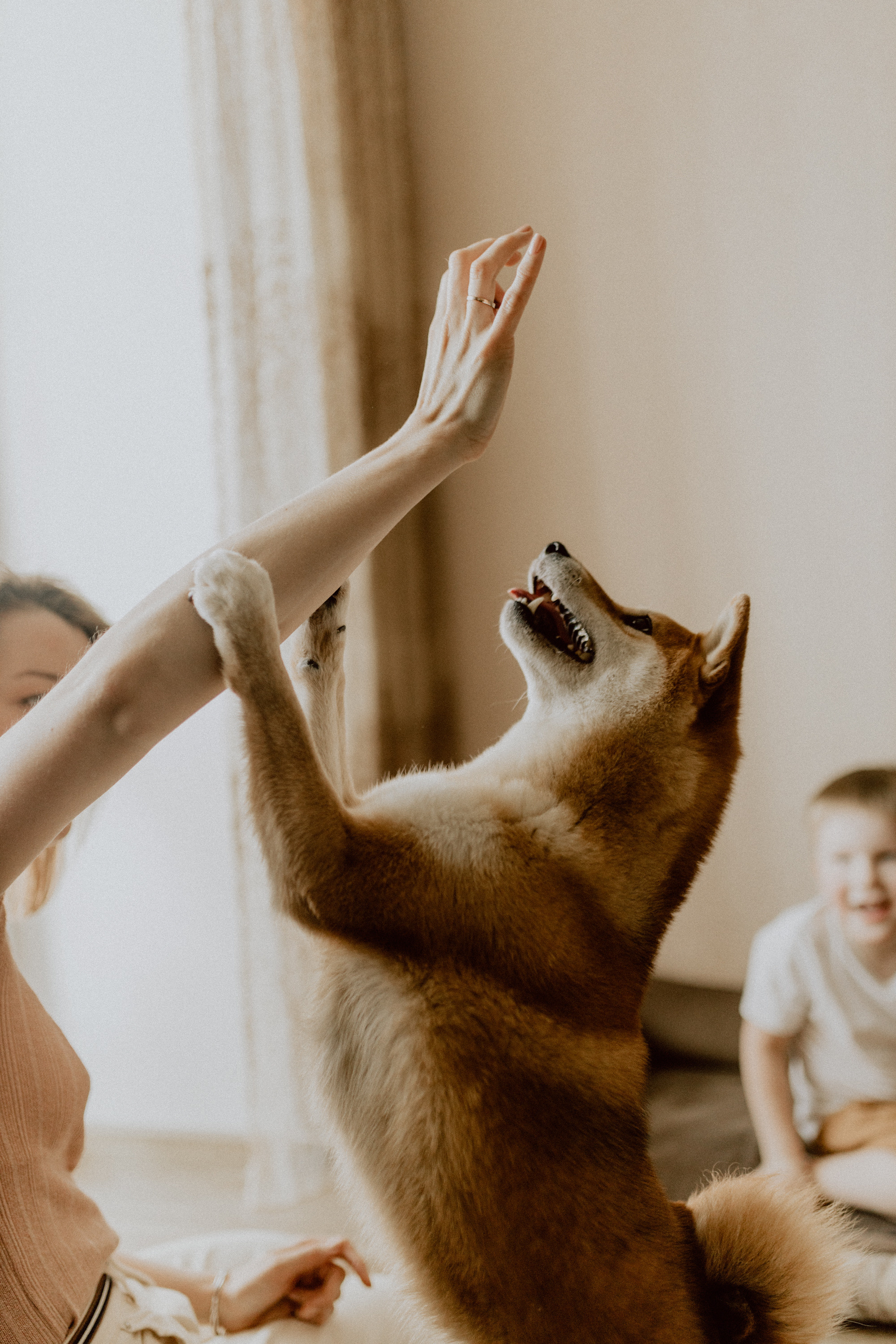 Нина с семьей. Семейный, детский фотограф, видеограф. Город Владивосток Рубцова Юлия