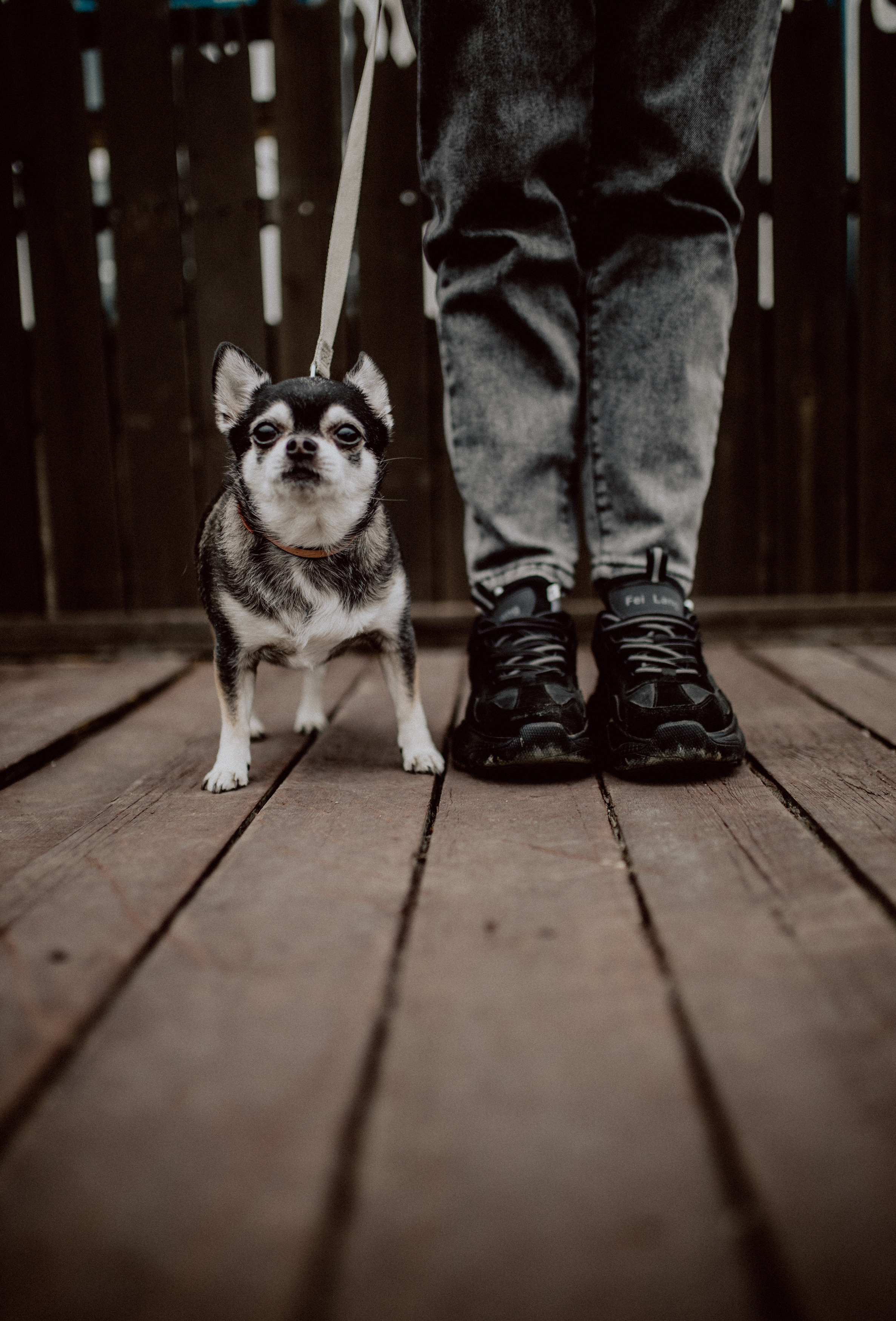Саша. Семейный, детский фотограф, видеограф. Город Владивосток Рубцова Юлия