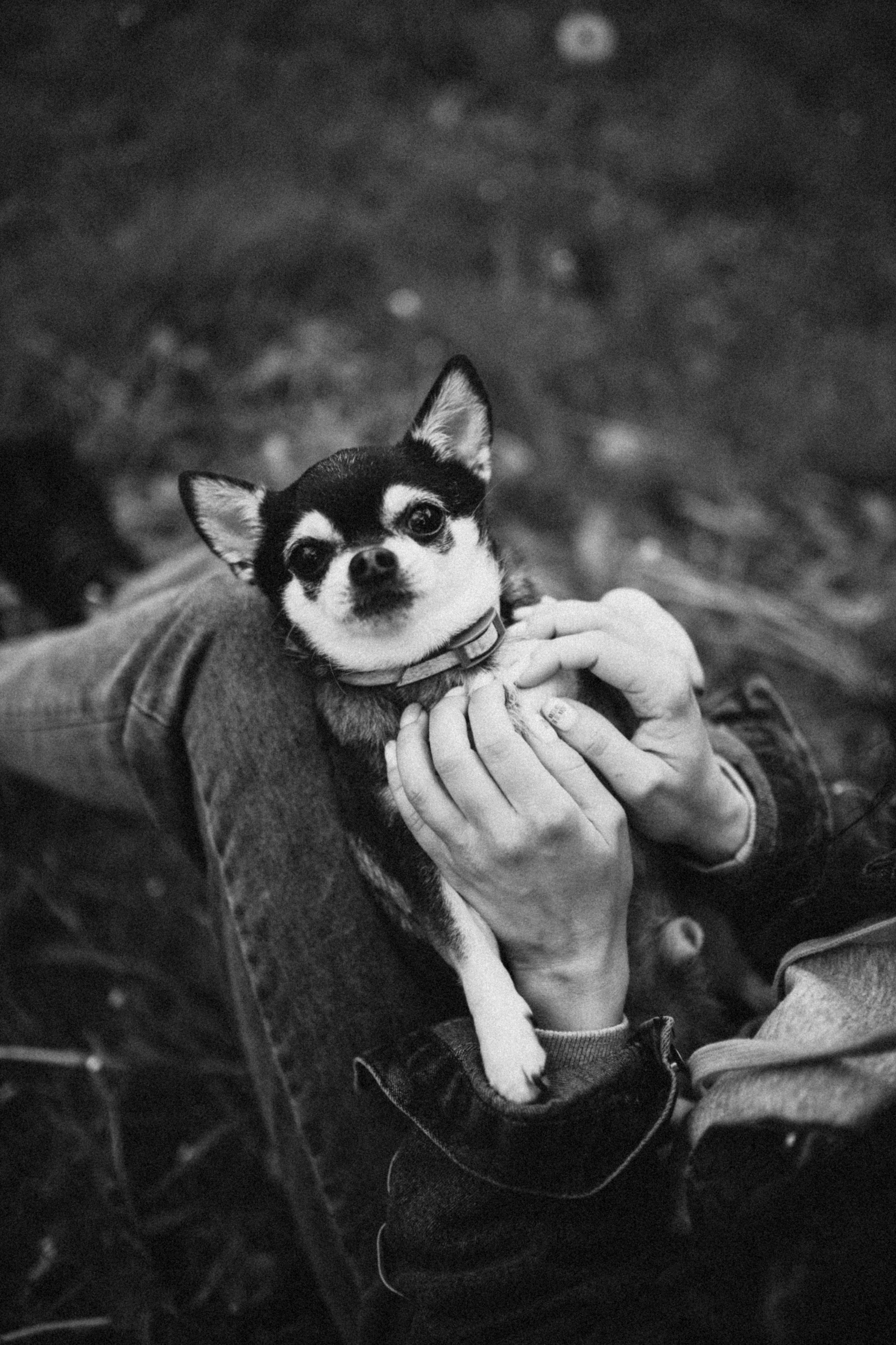 Саша. Семейный, детский фотограф, видеограф. Город Владивосток Рубцова Юлия