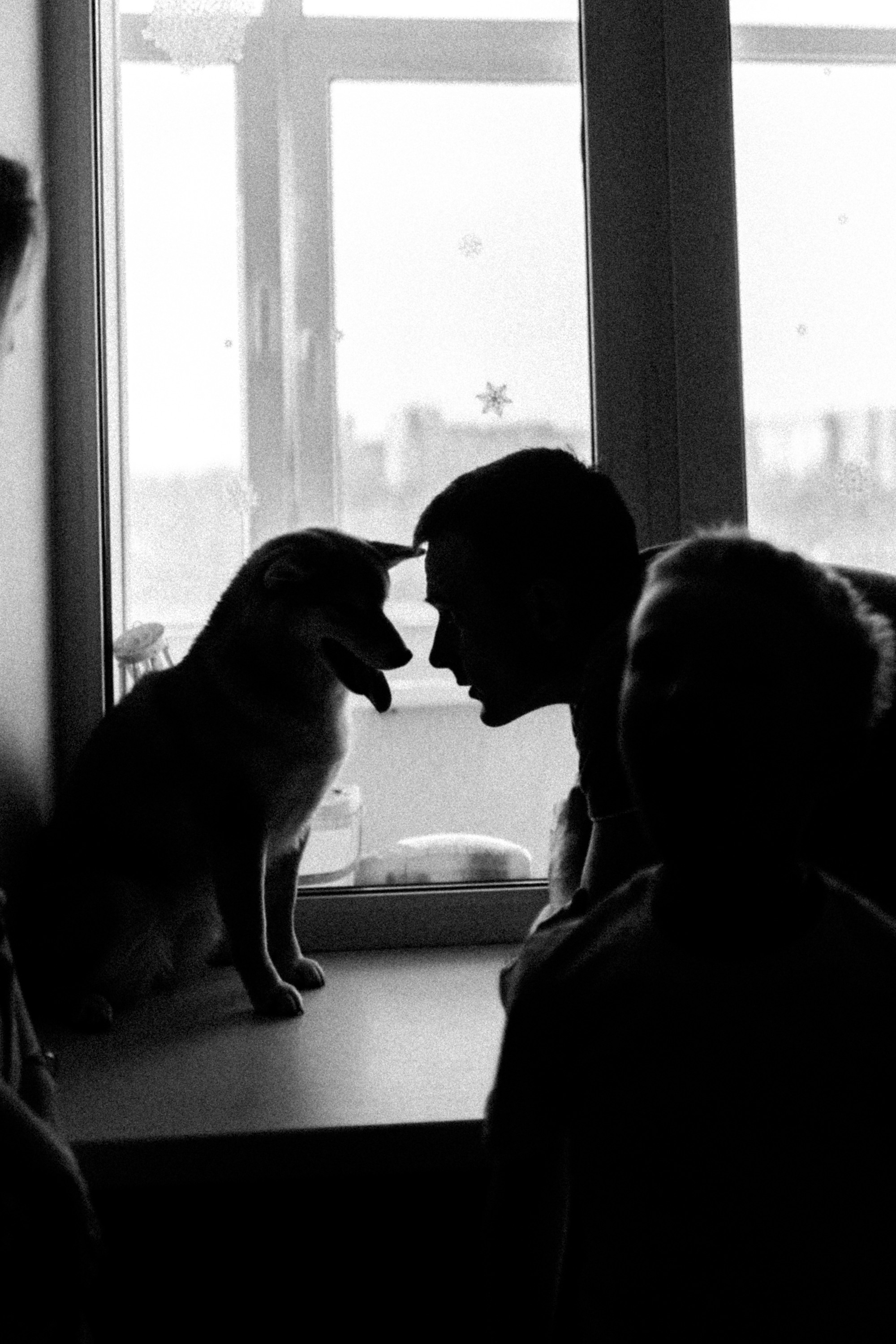 Нина с семьей. Семейный, детский фотограф, видеограф. Город Владивосток Рубцова Юлия
