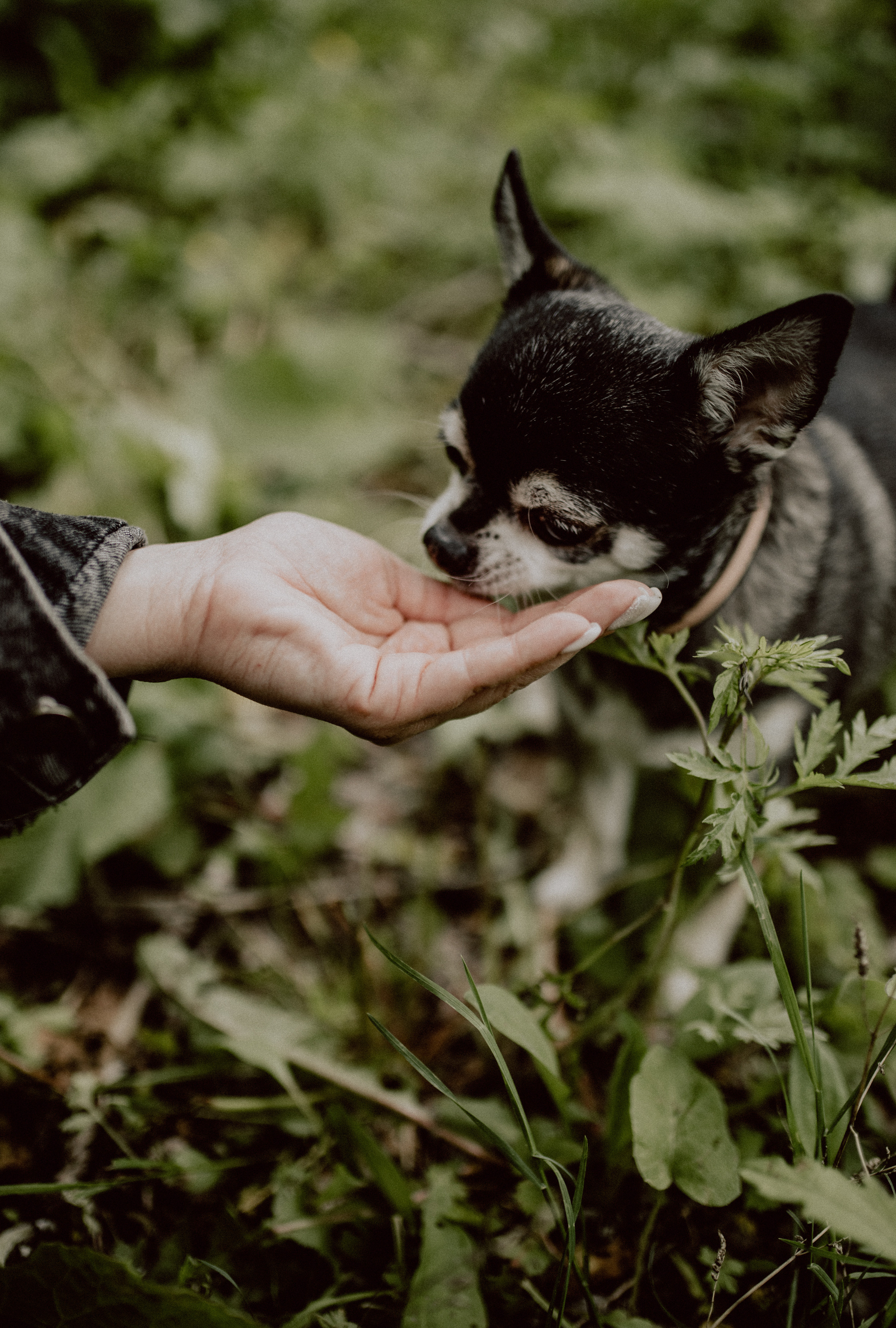 Саша. Семейный, детский фотограф, видеограф. Город Владивосток Рубцова Юлия