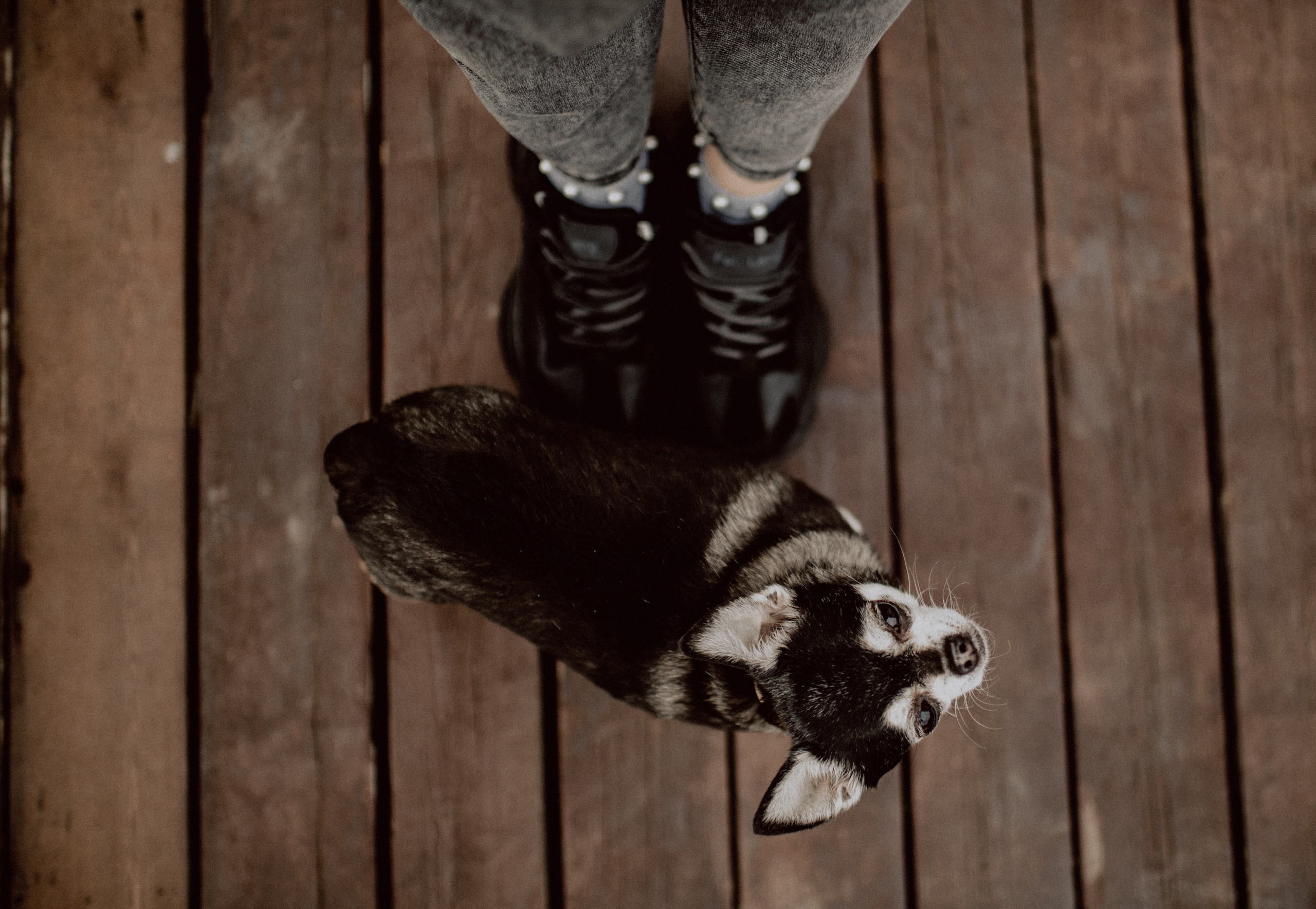 Саша. Семейный, детский фотограф, видеограф. Город Владивосток Рубцова Юлия