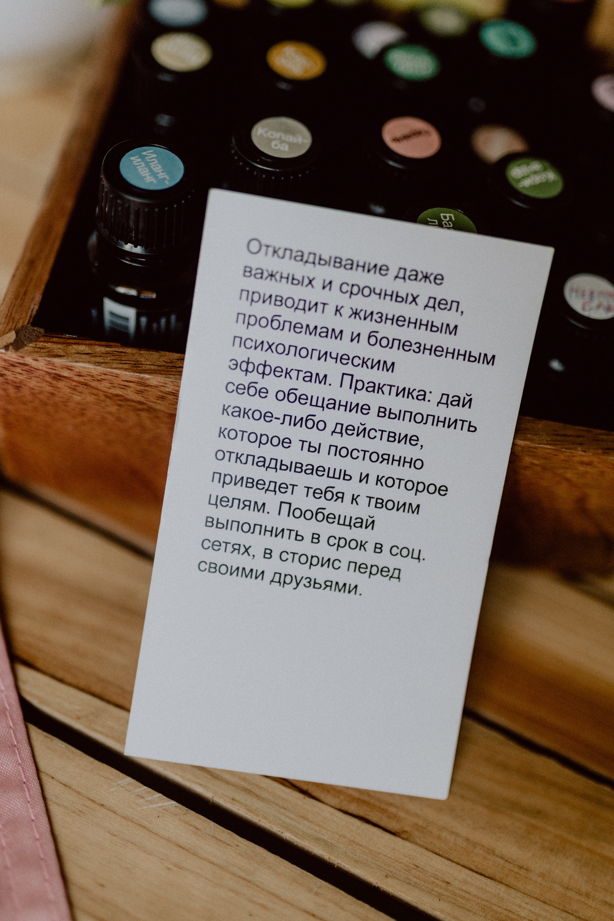 Арина, Аромаресурс. Семейный, детский фотограф, видеограф. Город Владивосток Рубцова Юлия