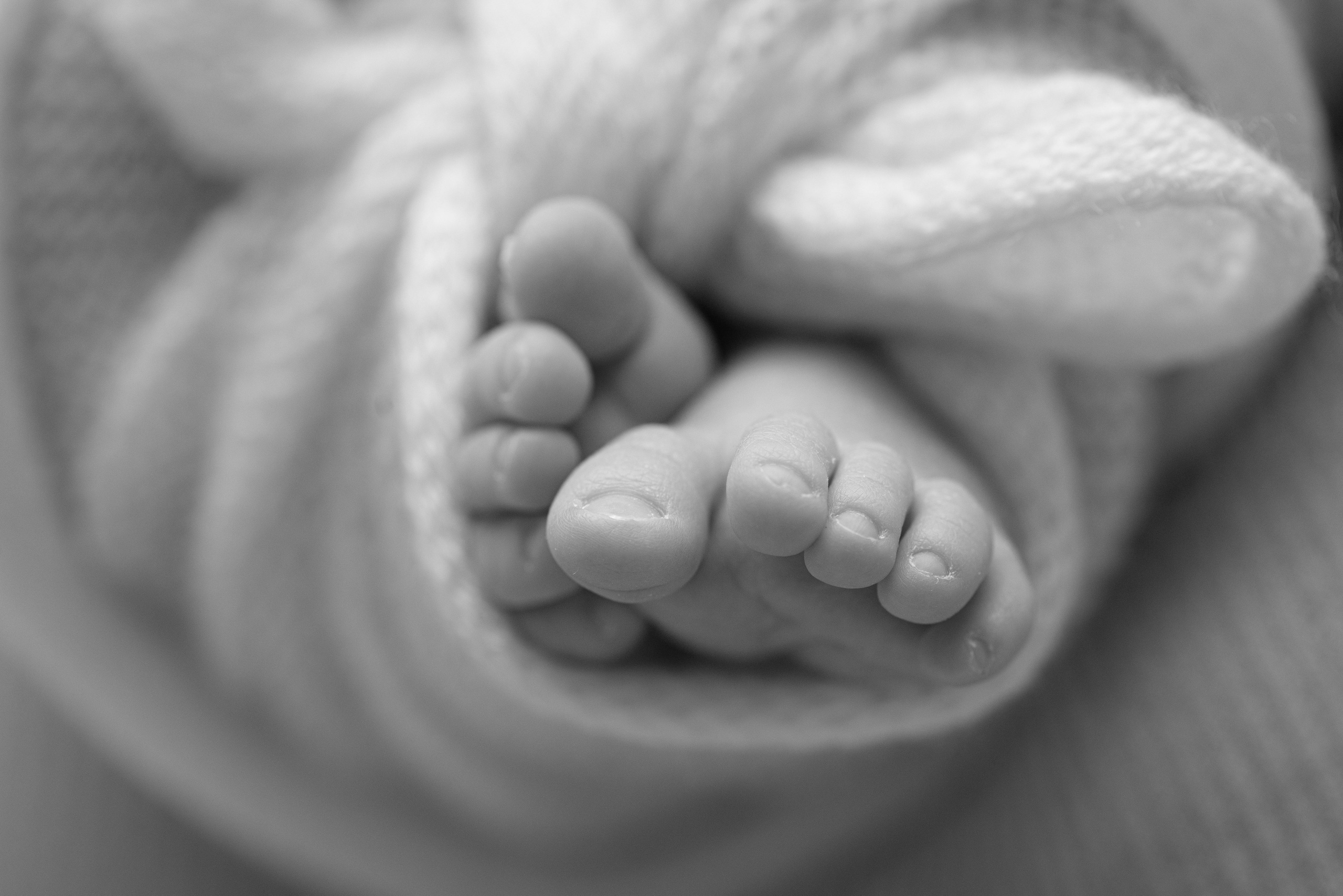 Макро. Фотограф Новорожденных во Владивостоке Ольга Галаницкая