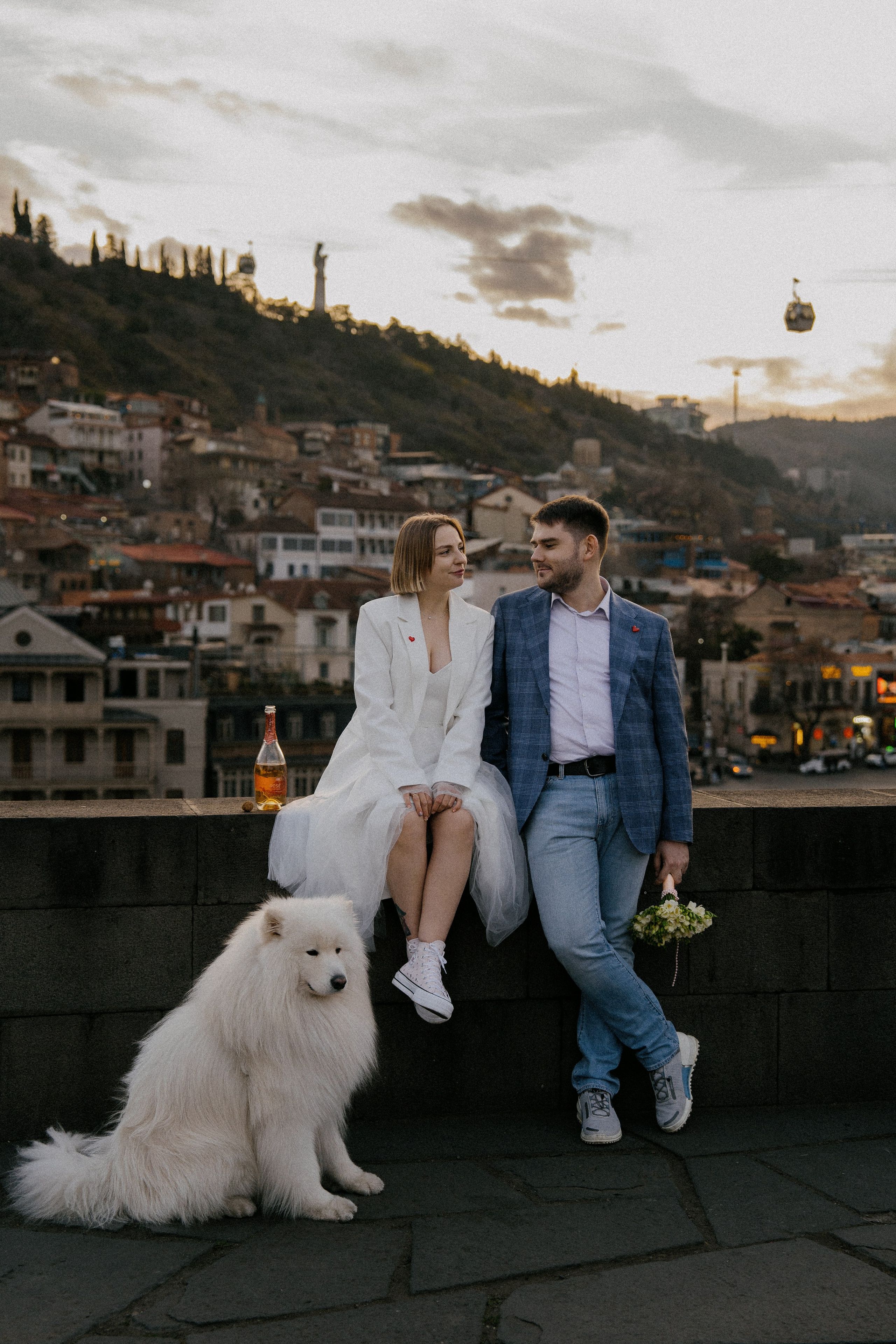 Пушистый свидетель