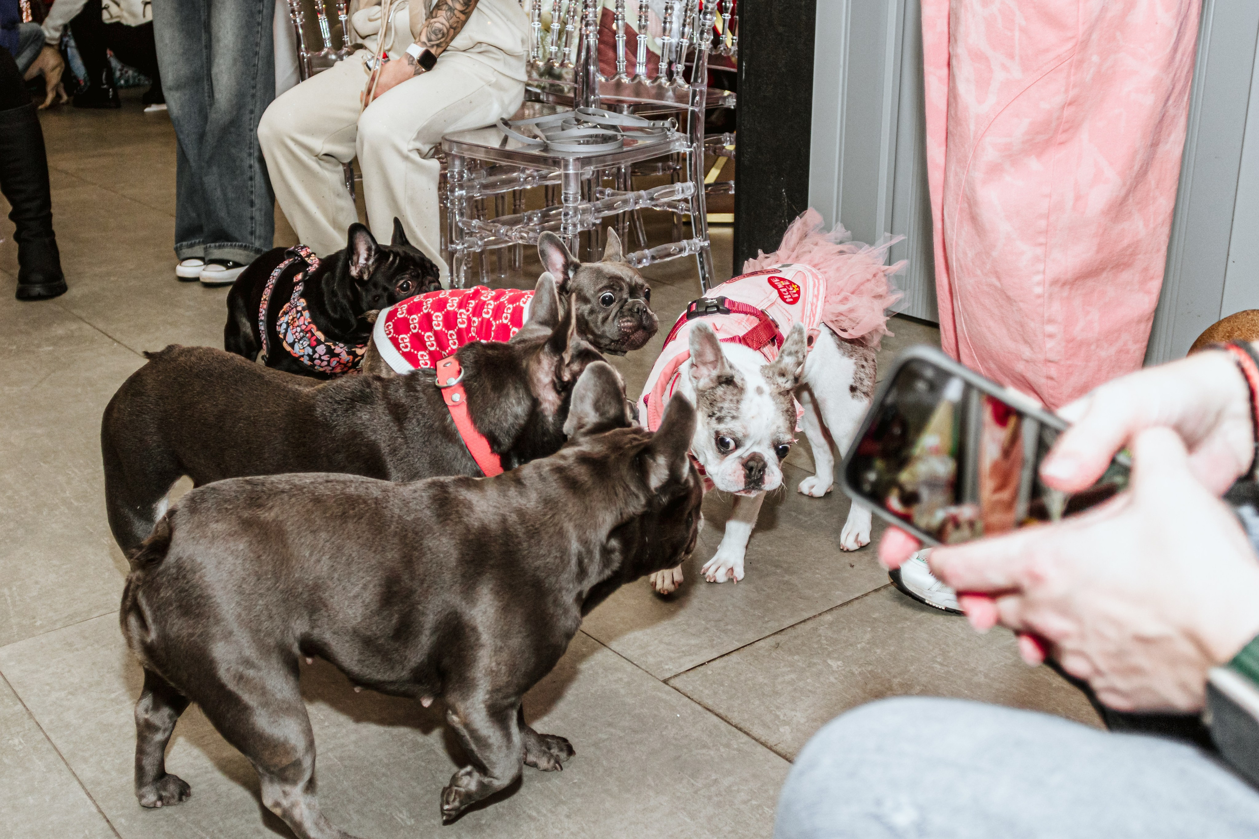 Бульёлка 2024. Фотограф-анималист Татьяна Степанова