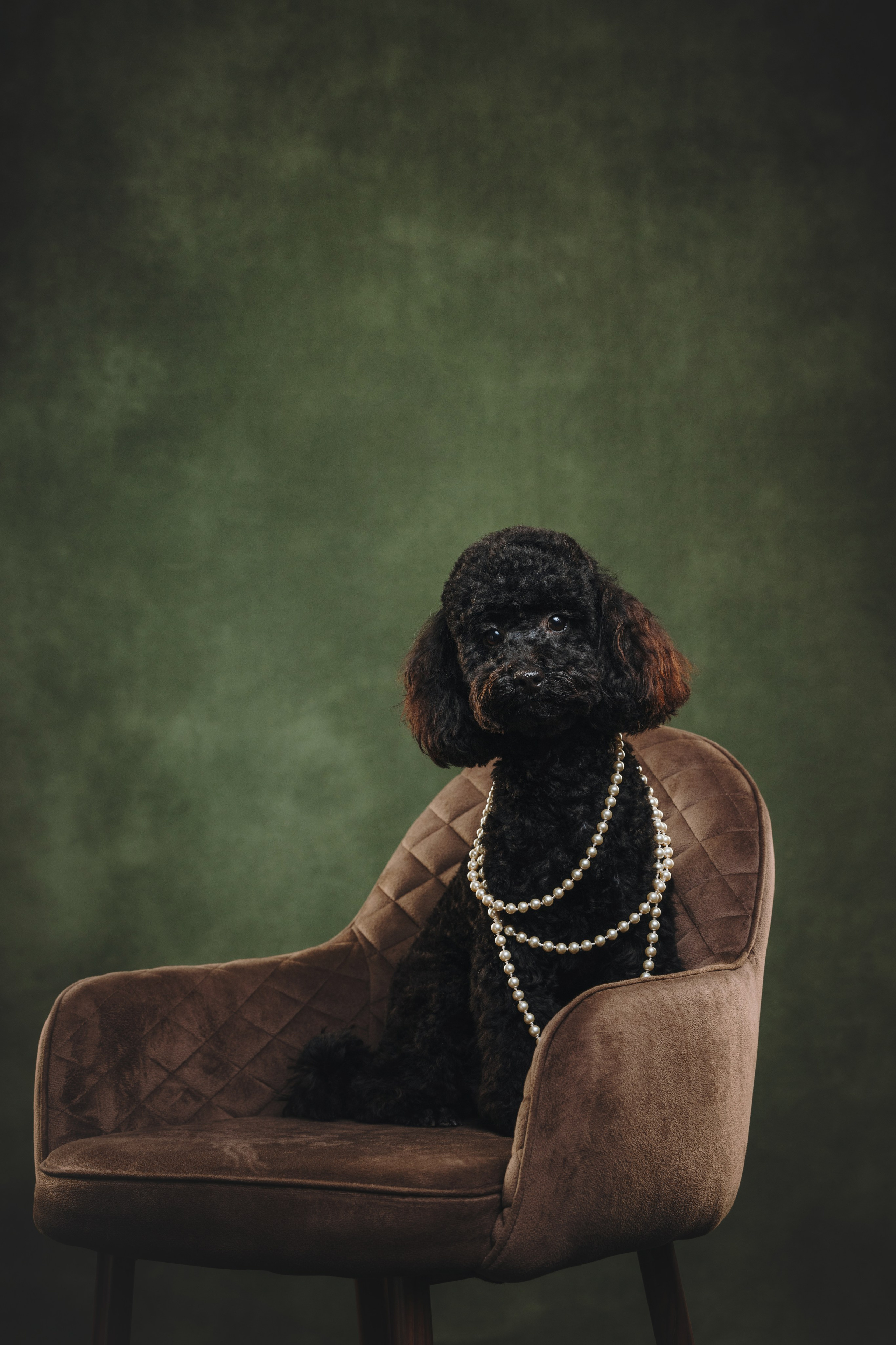 Ярослава и Туча. Фотограф анималист Осипчикова Мария