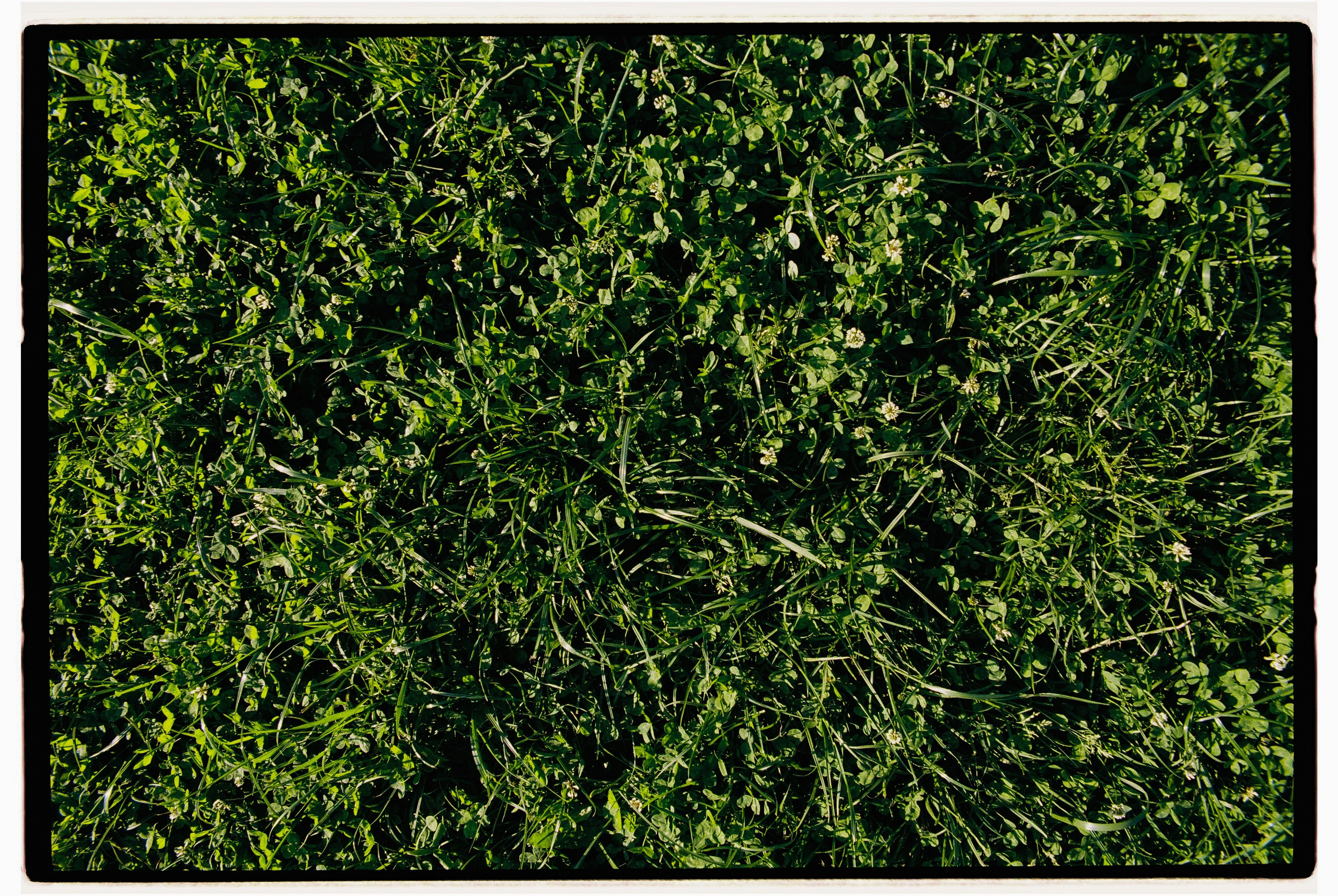 Илья и Маша. Свадебный фотограф в Москве Евгений Рыжов