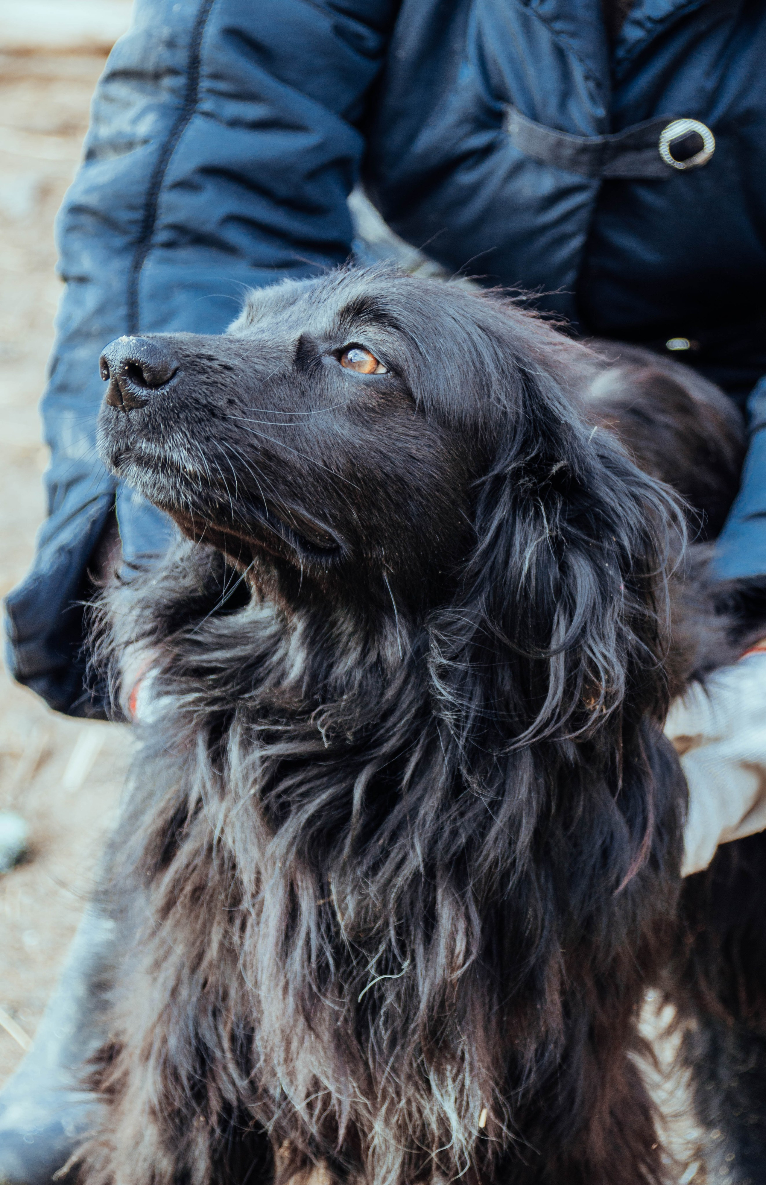 Приют «Дом Добра». Индивидуальный фотограф в Москве