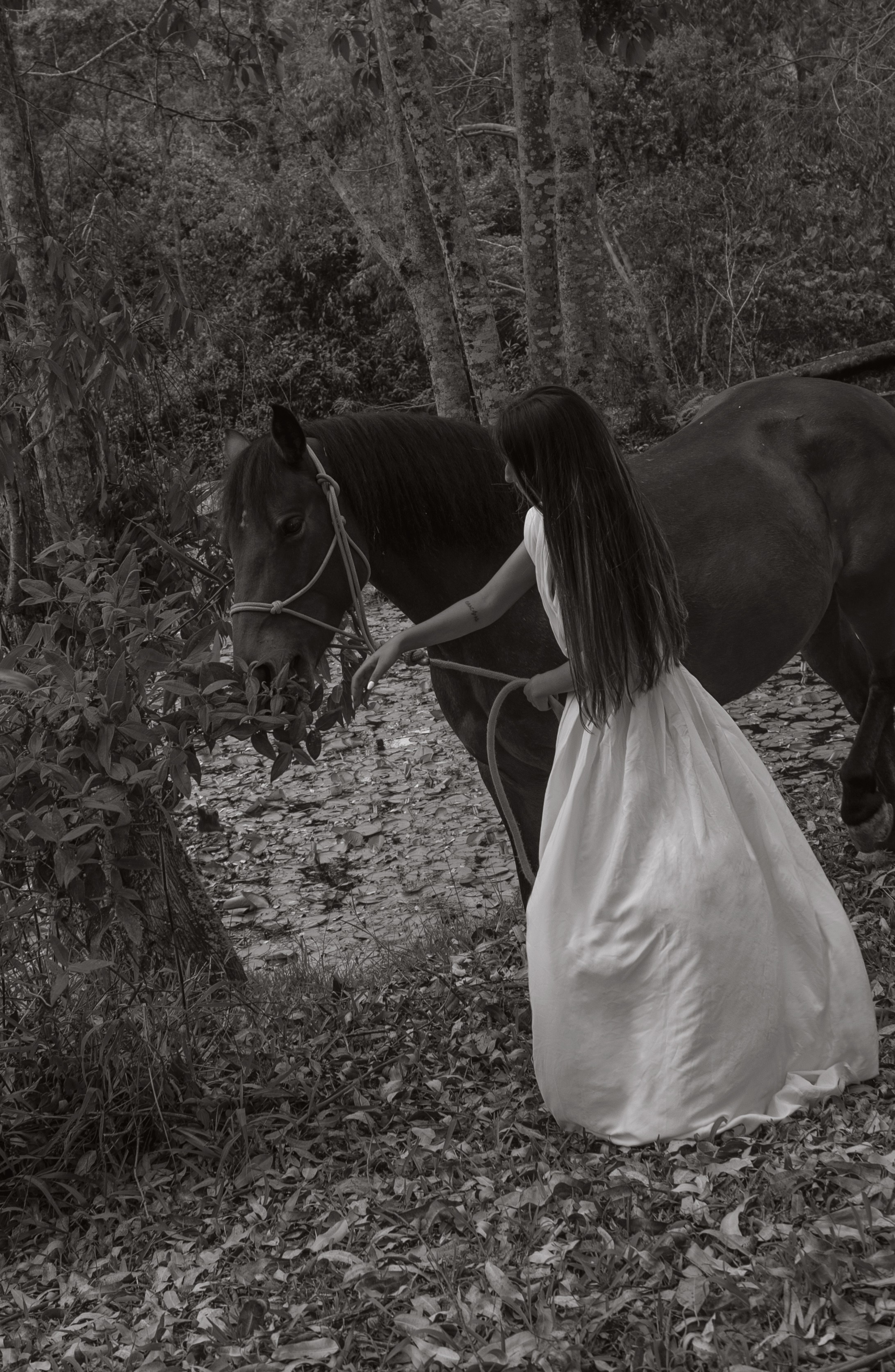 Preboda Aleja. Wedding Photographer in Barcelona and Medellin