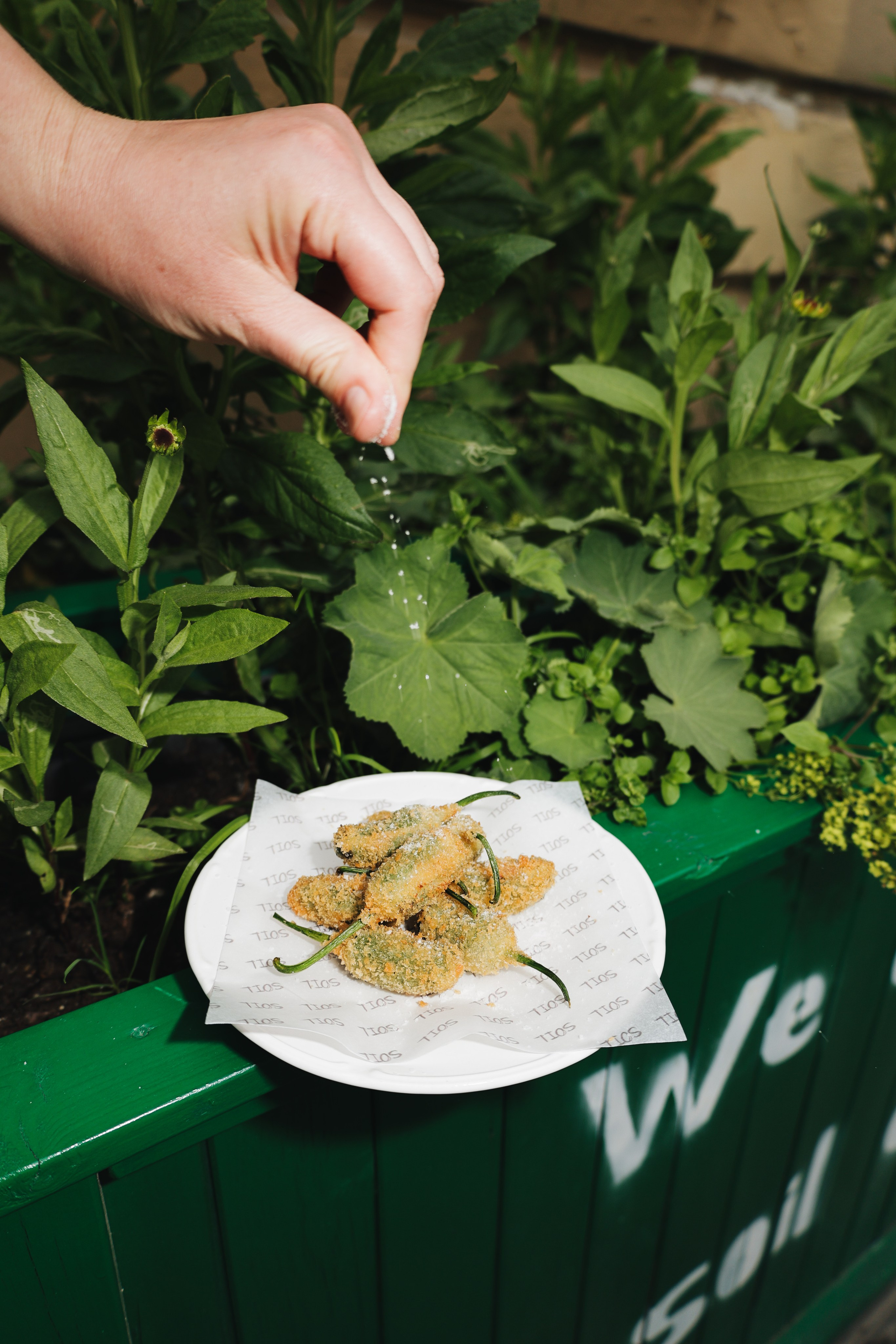 Soil. Света Голобородько, фудфотограф в Санкт-Петербурге