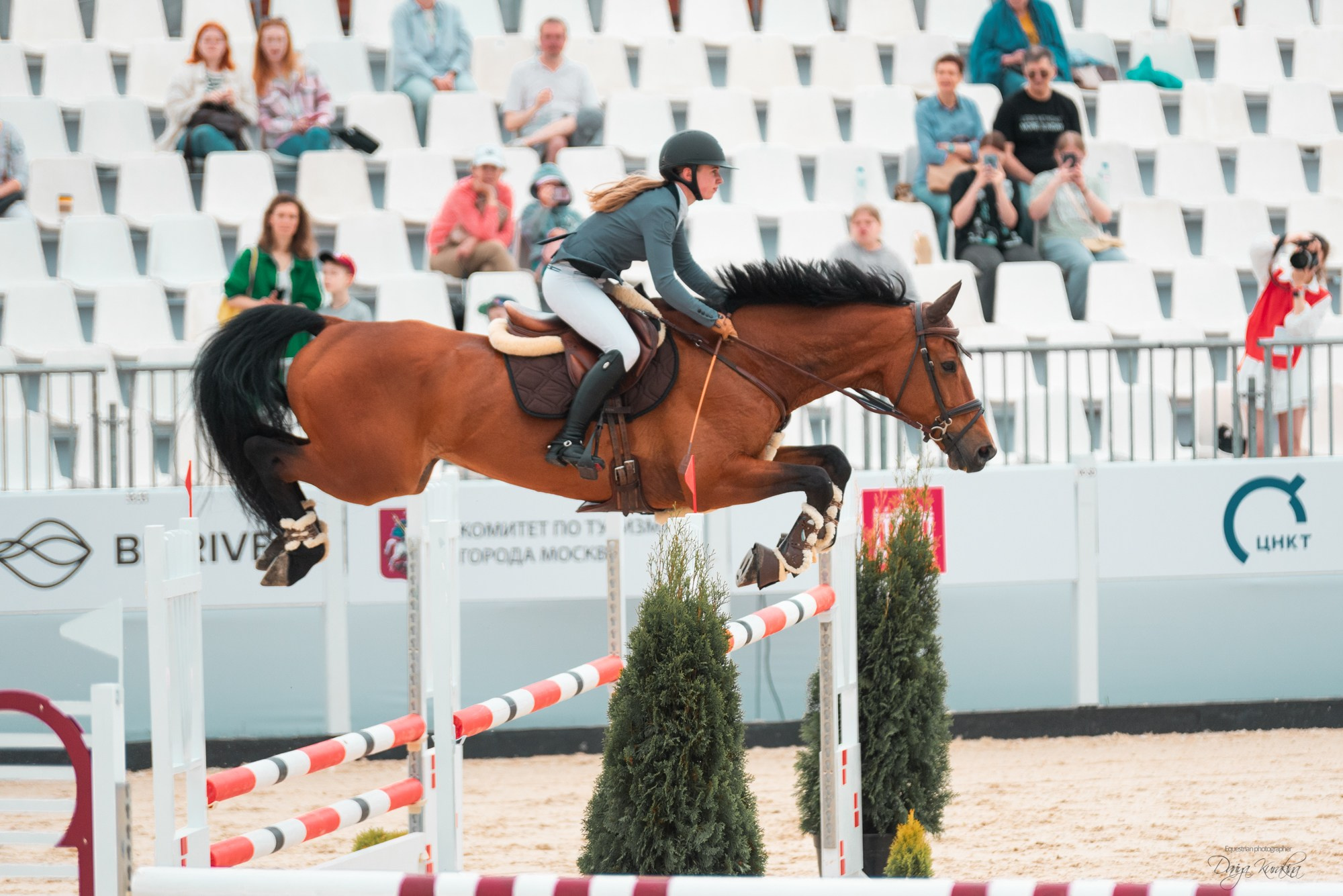 BITRIVER CUP 2023. Конный фотограф Куракина Дарья • Фотосессии с лошадьми