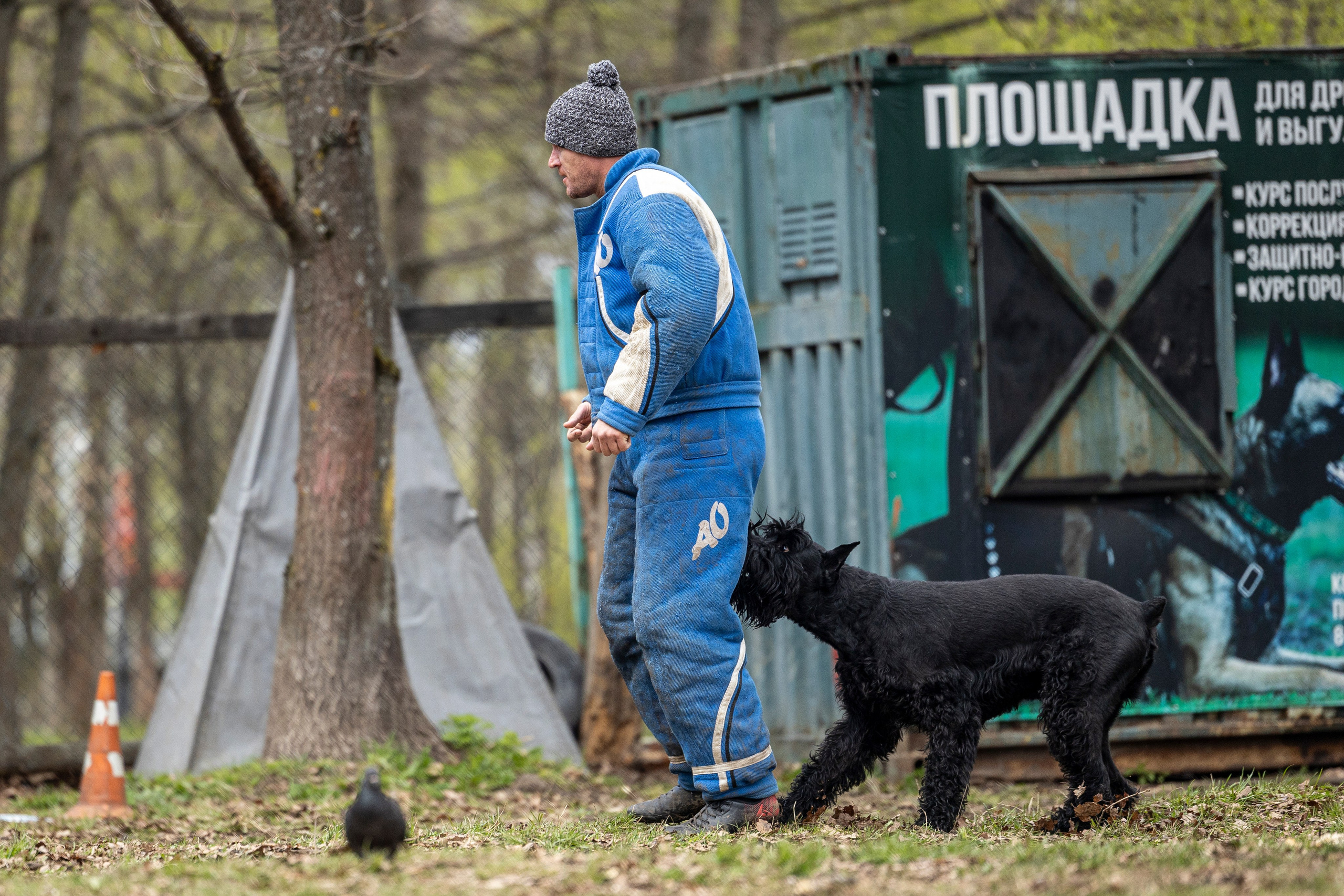 Квалификационные состязания по мондьорингу г. Вологда 11.05.24. Фотограф-анималист Анна Маринич