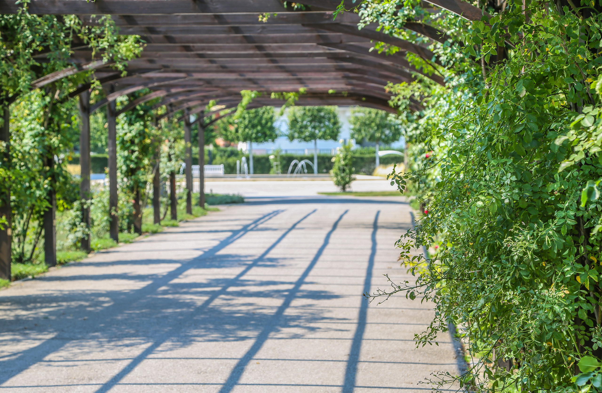 Австрия: Баден. Дарья Письменюк / Darya Leitstern — фотограф, музыкант, журналист, путешественник