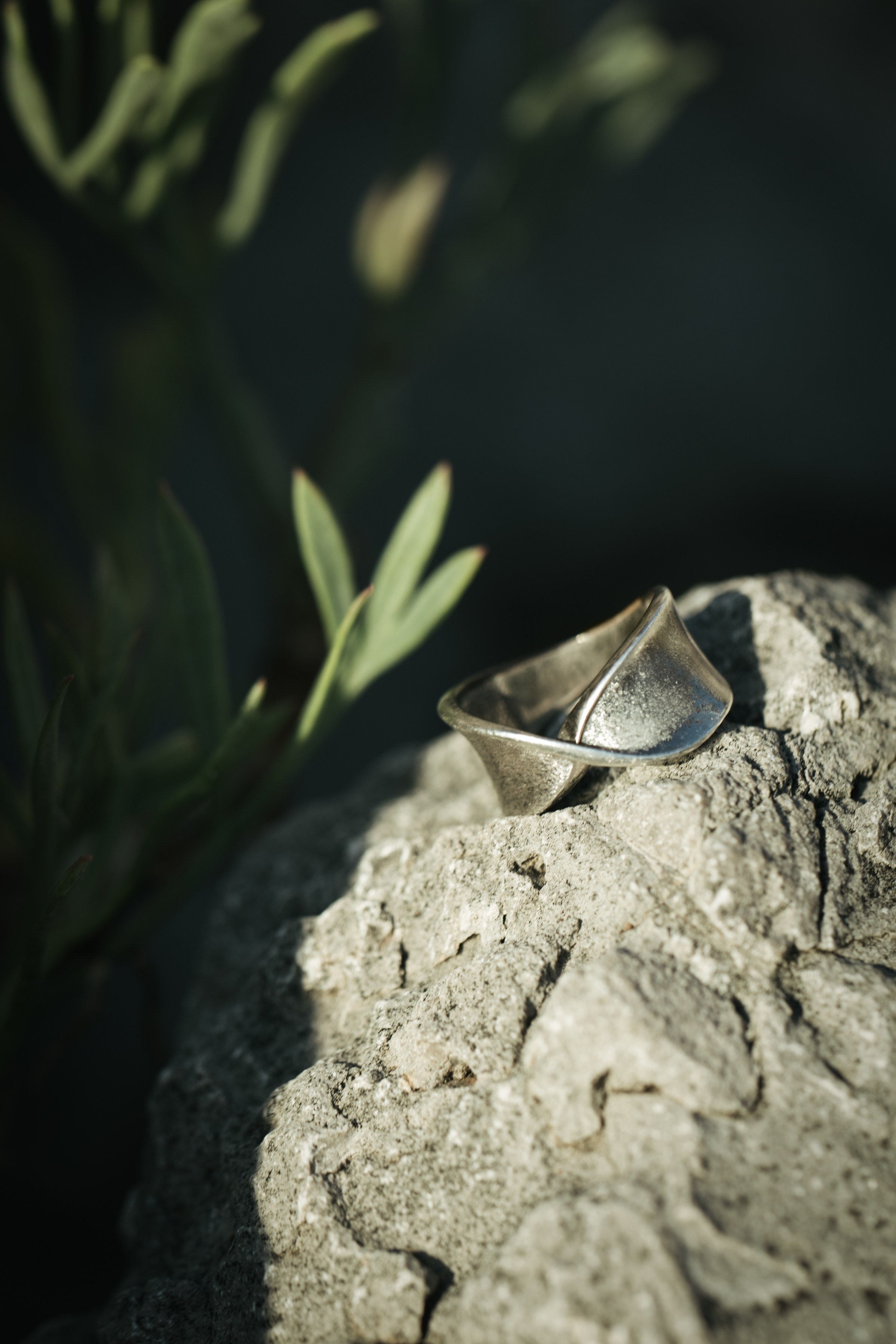 STILL LIFE. Photographer Zoya Smirnova