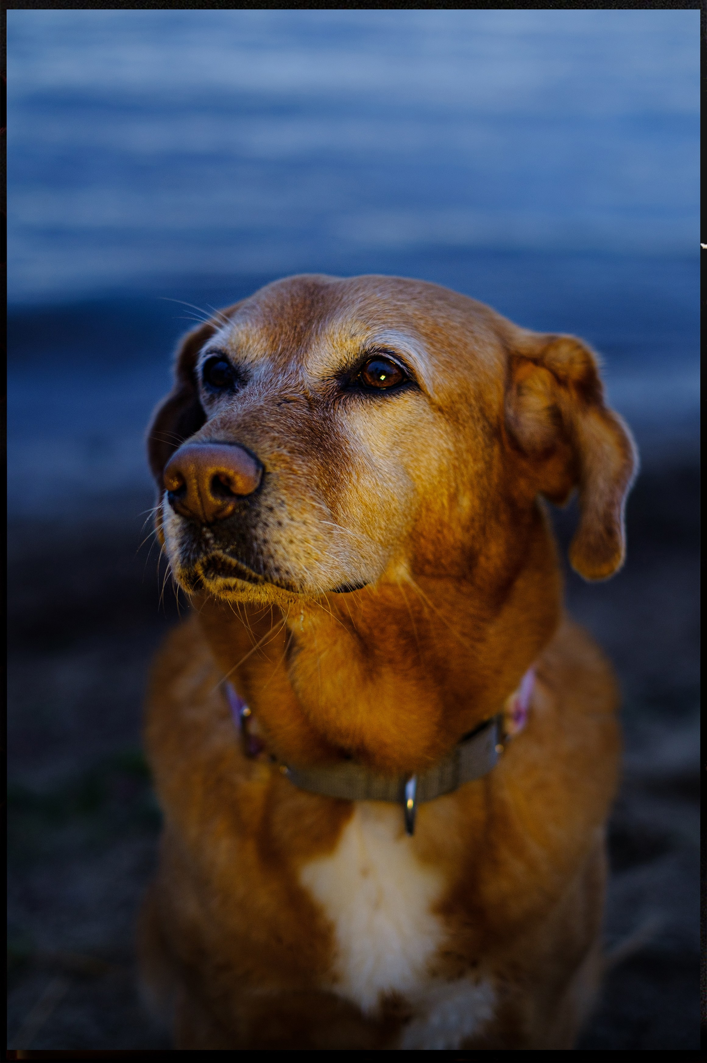 ФОТО. Фотохудожник и видеограф в Петербурге Валерия Кондаурова