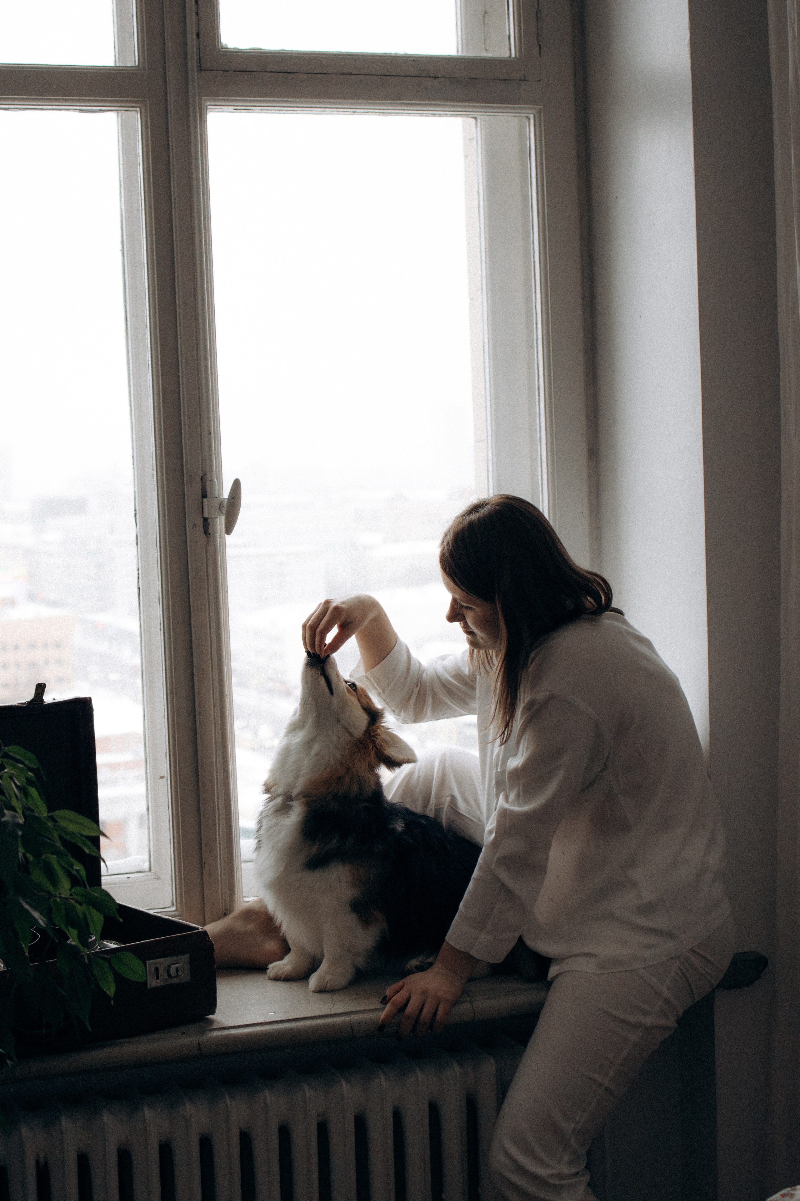 Мишель и Влада. Фотораф — анималист Мария Шистка