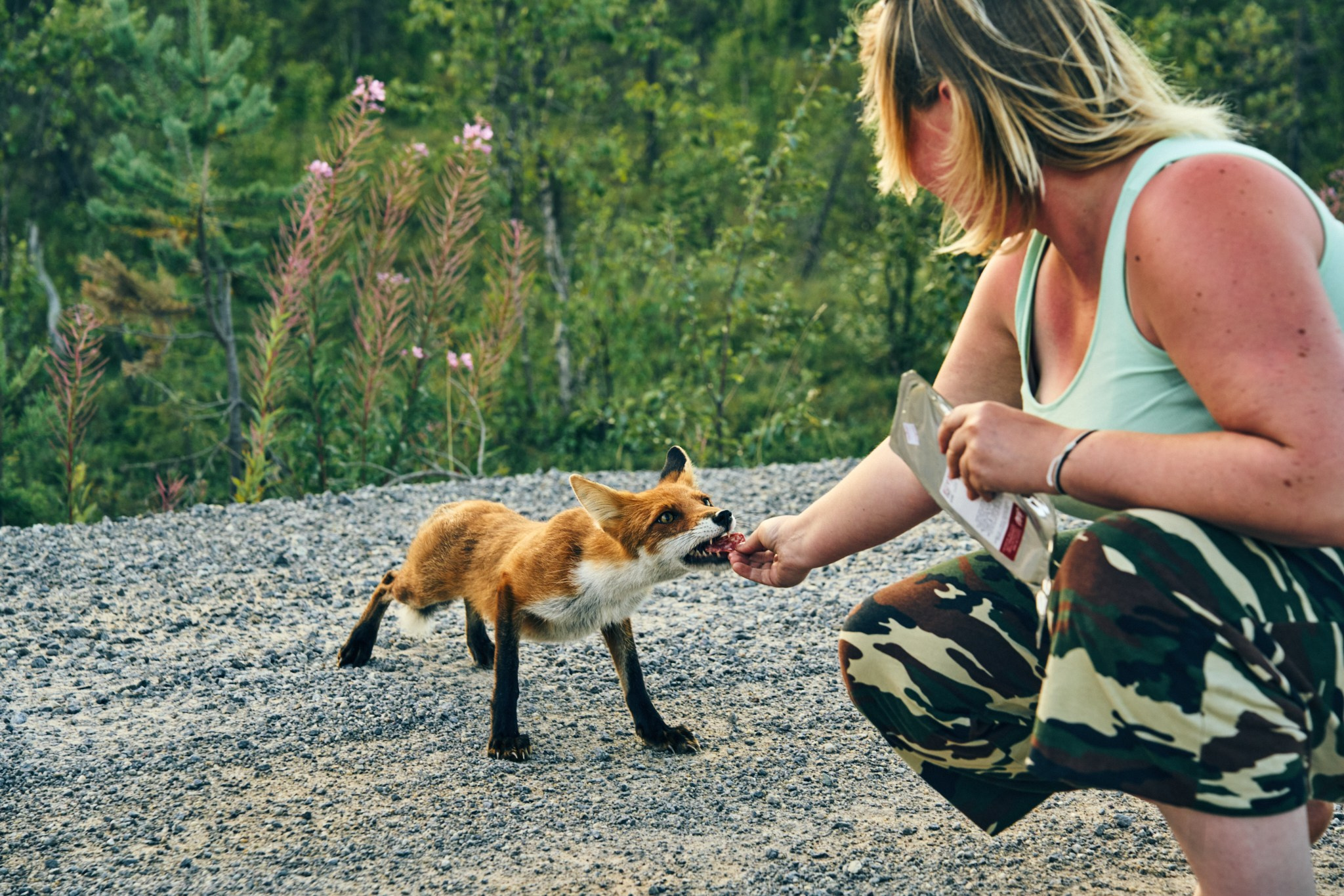 Путешествие на Север в 2023 году. Внедорожные путешествия — OFFROADTRIP