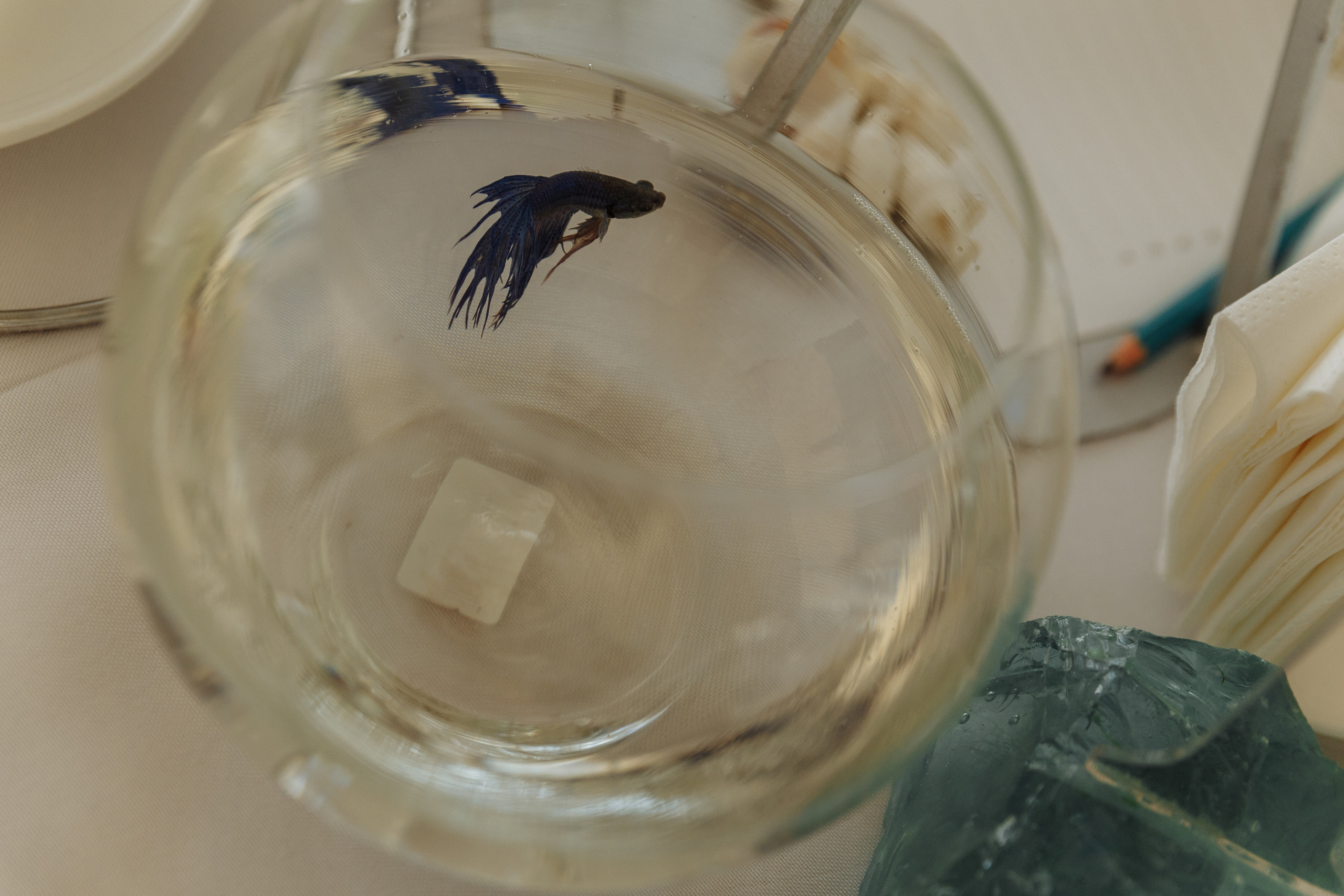 Лена и Макс