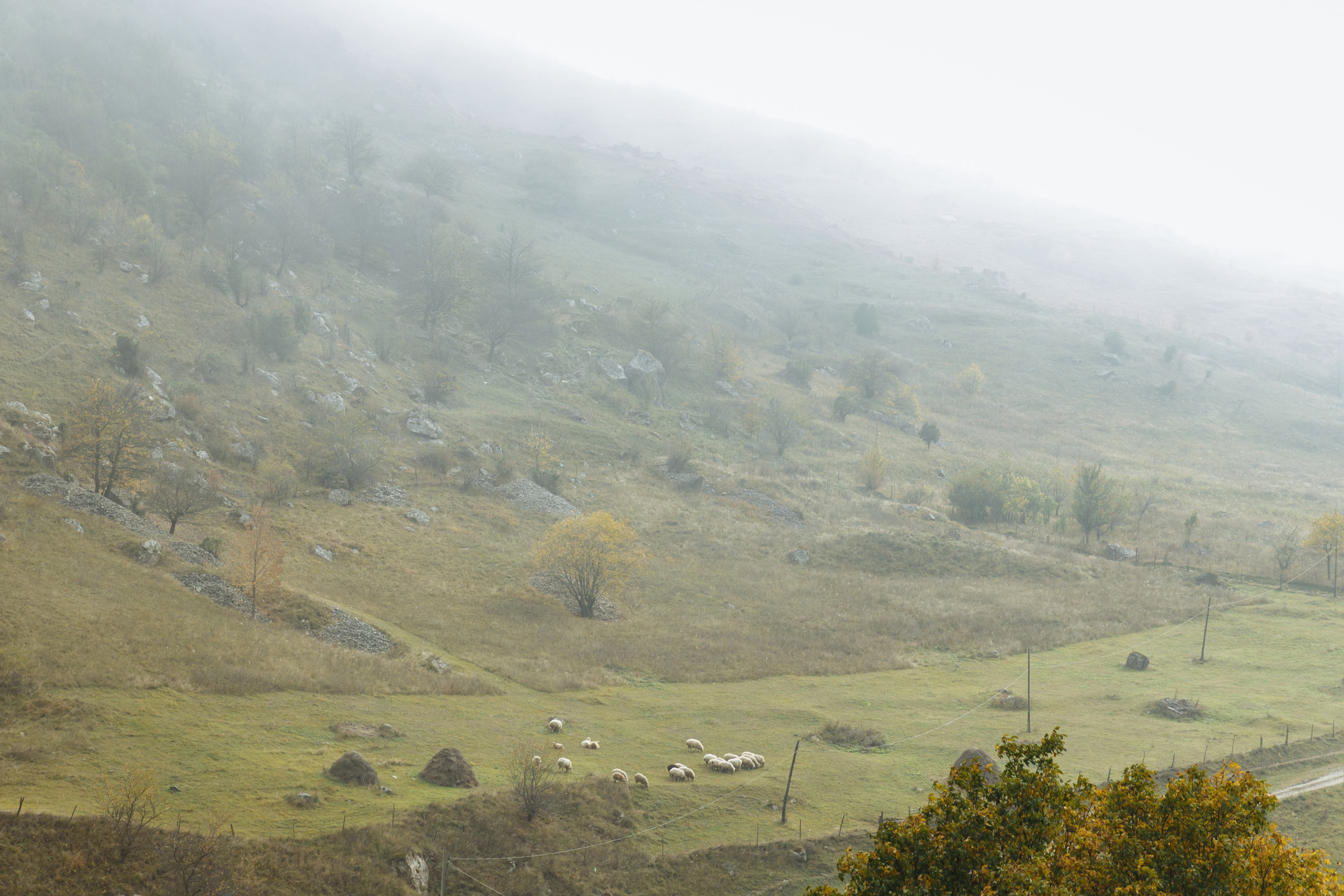 Поездка в Северную Осетию