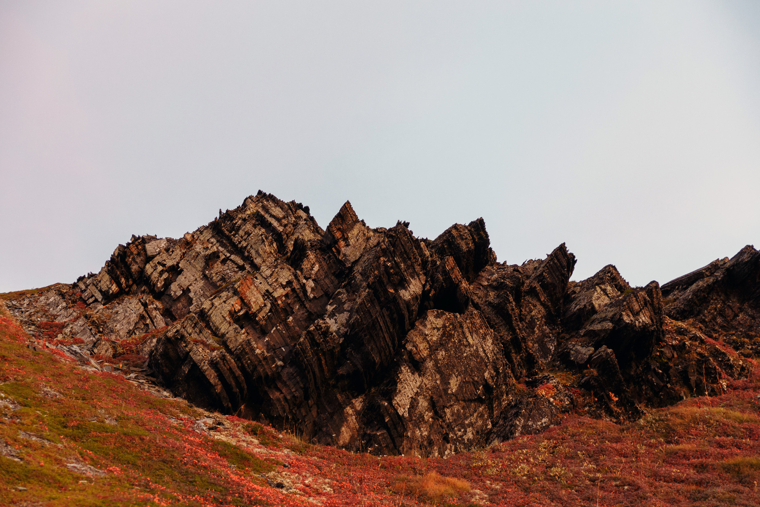 Поездка на берег Северного Ледовитого
