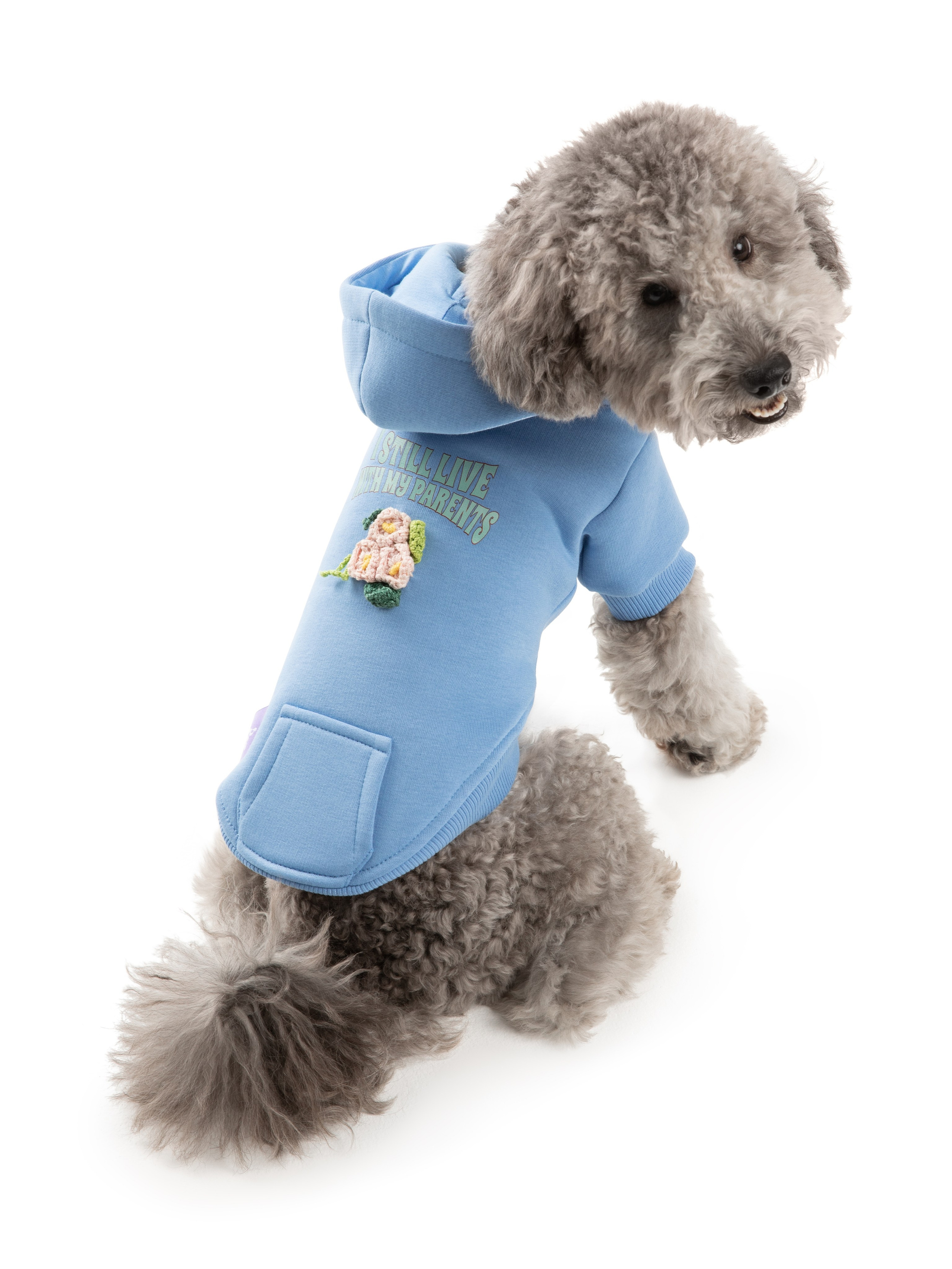 Одежда для собак Pet Subject. Олег Дмитриев